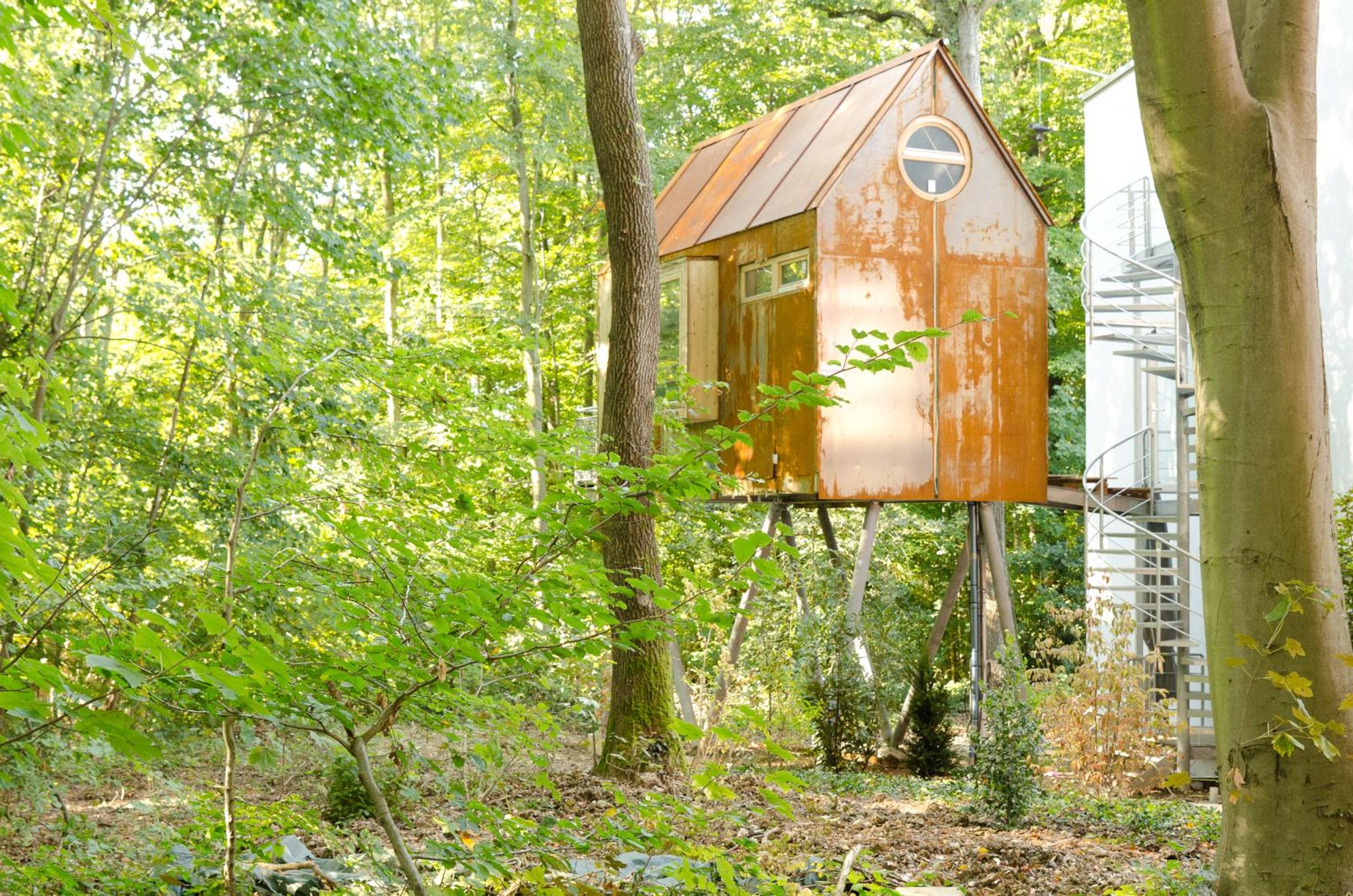 Tree House photo 2