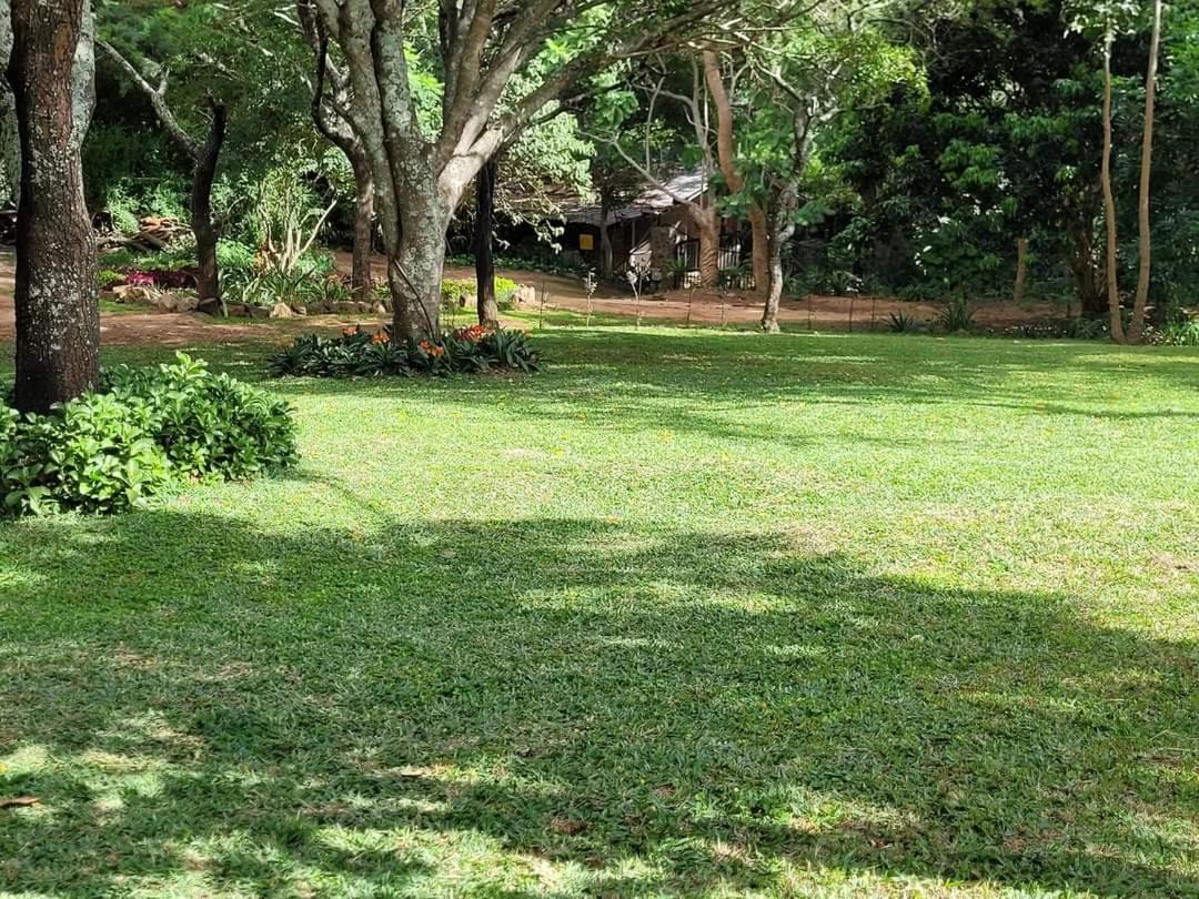 Double Room with Park View photo 3