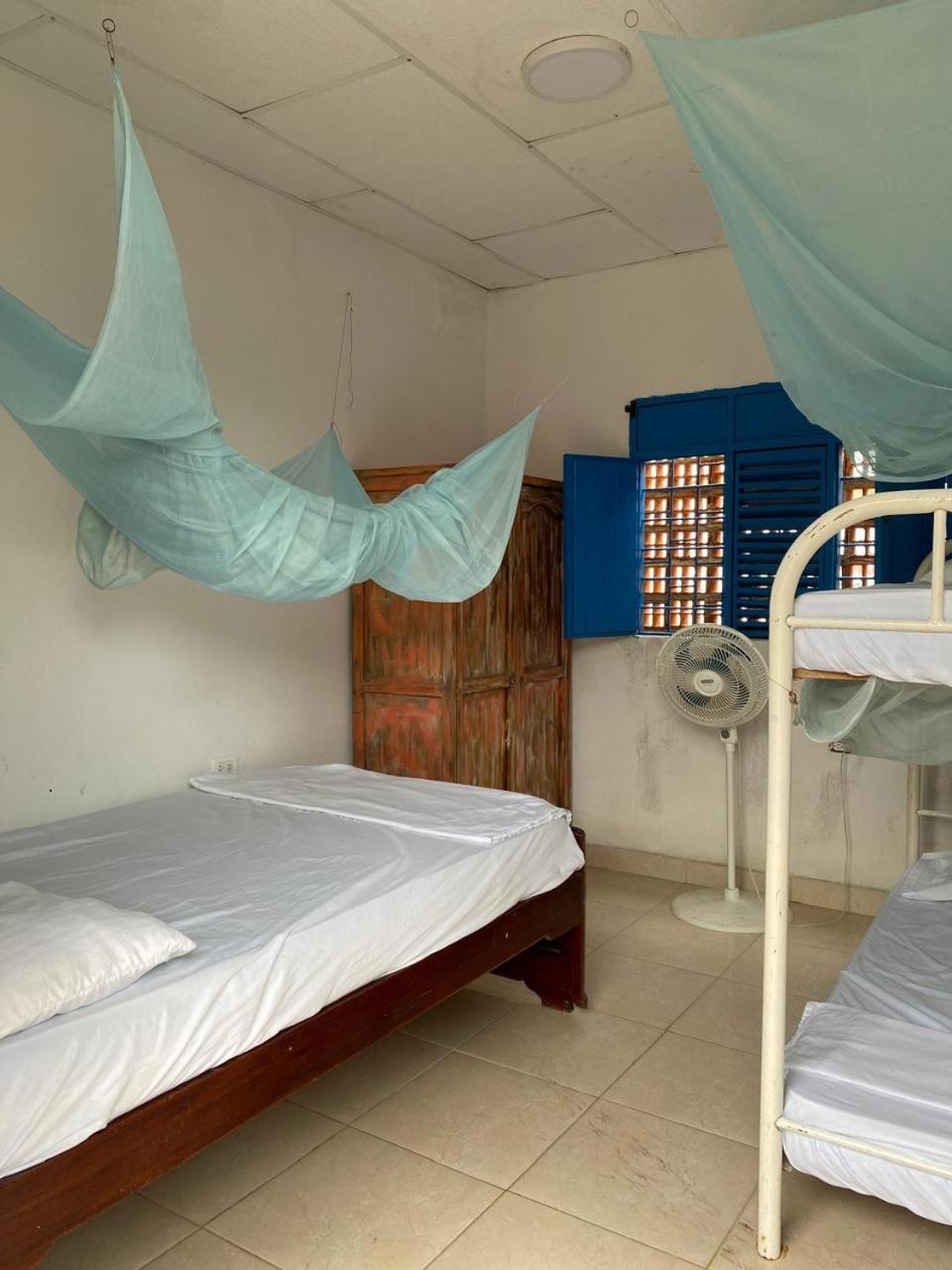 Single Bed In Mixed Dormitory Room photo 1
