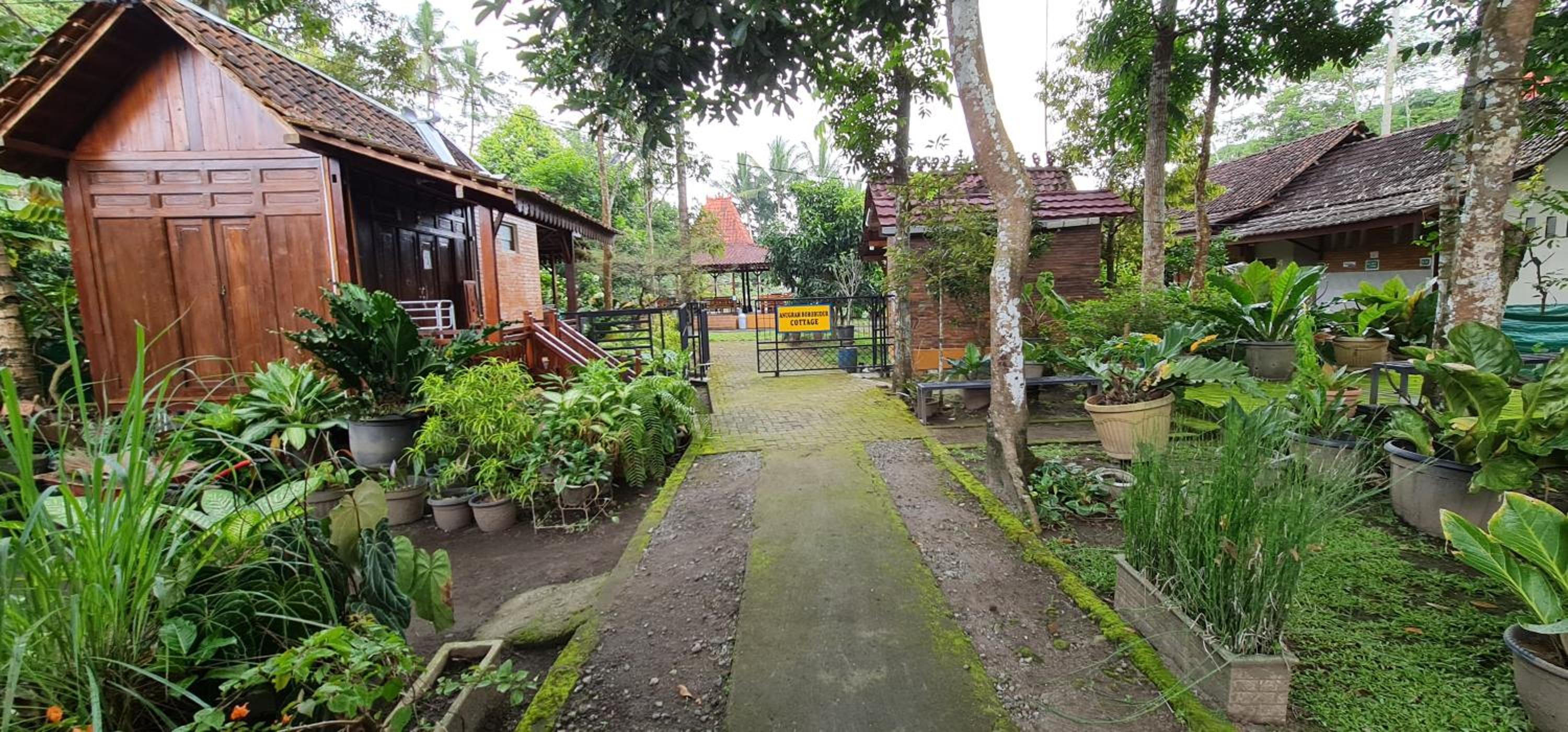 Chalet - Photo 4