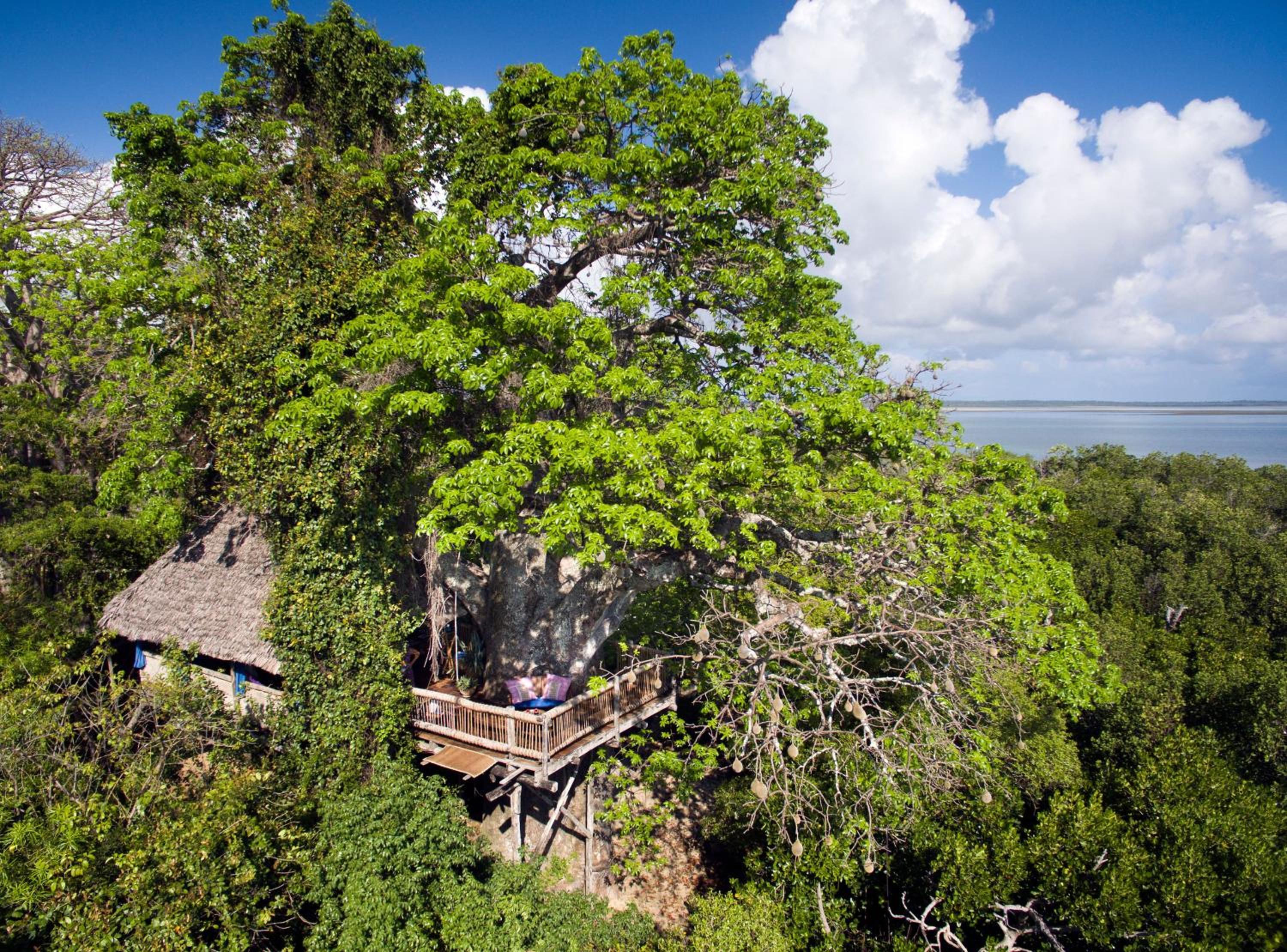 Chalet (2 Adults) photo 2