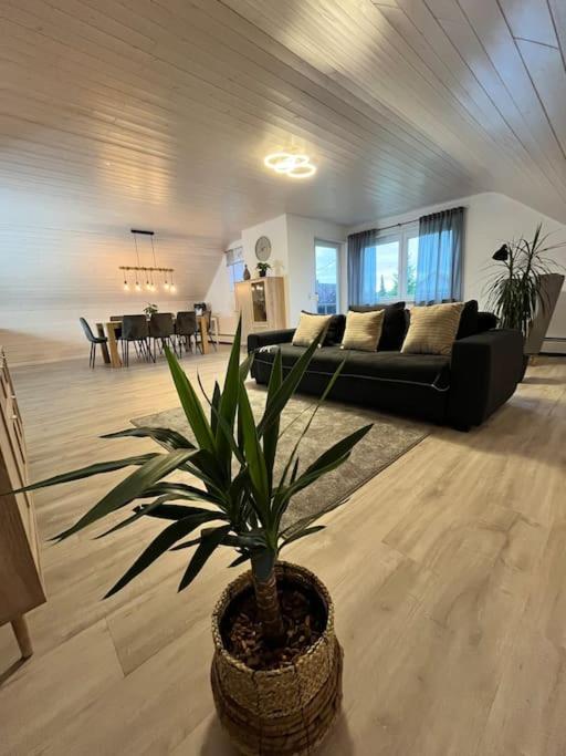 Three-Bedroom Apartment photo 2