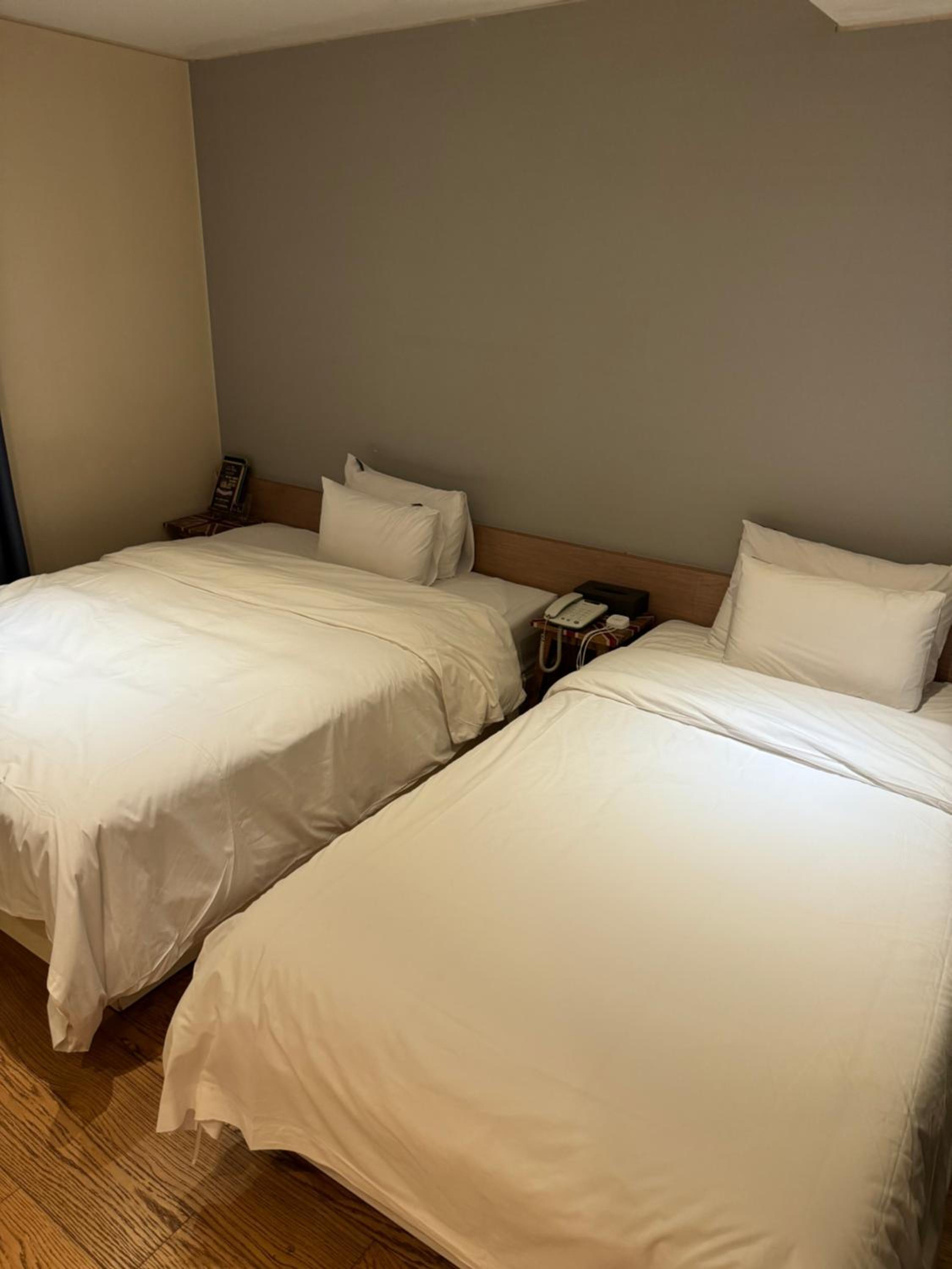 Twin Room - Photo 5