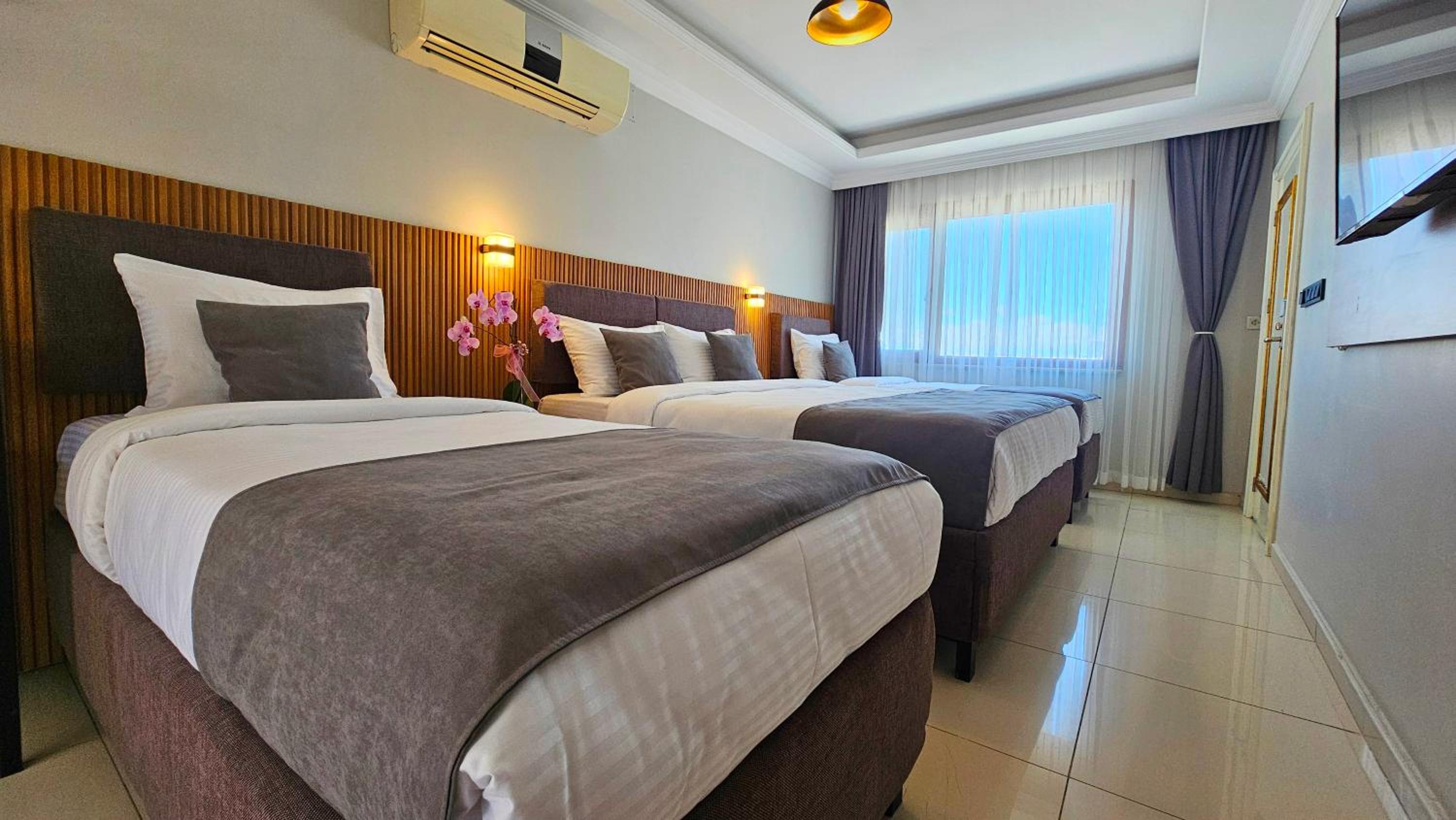 Suite with Terrace photo 3