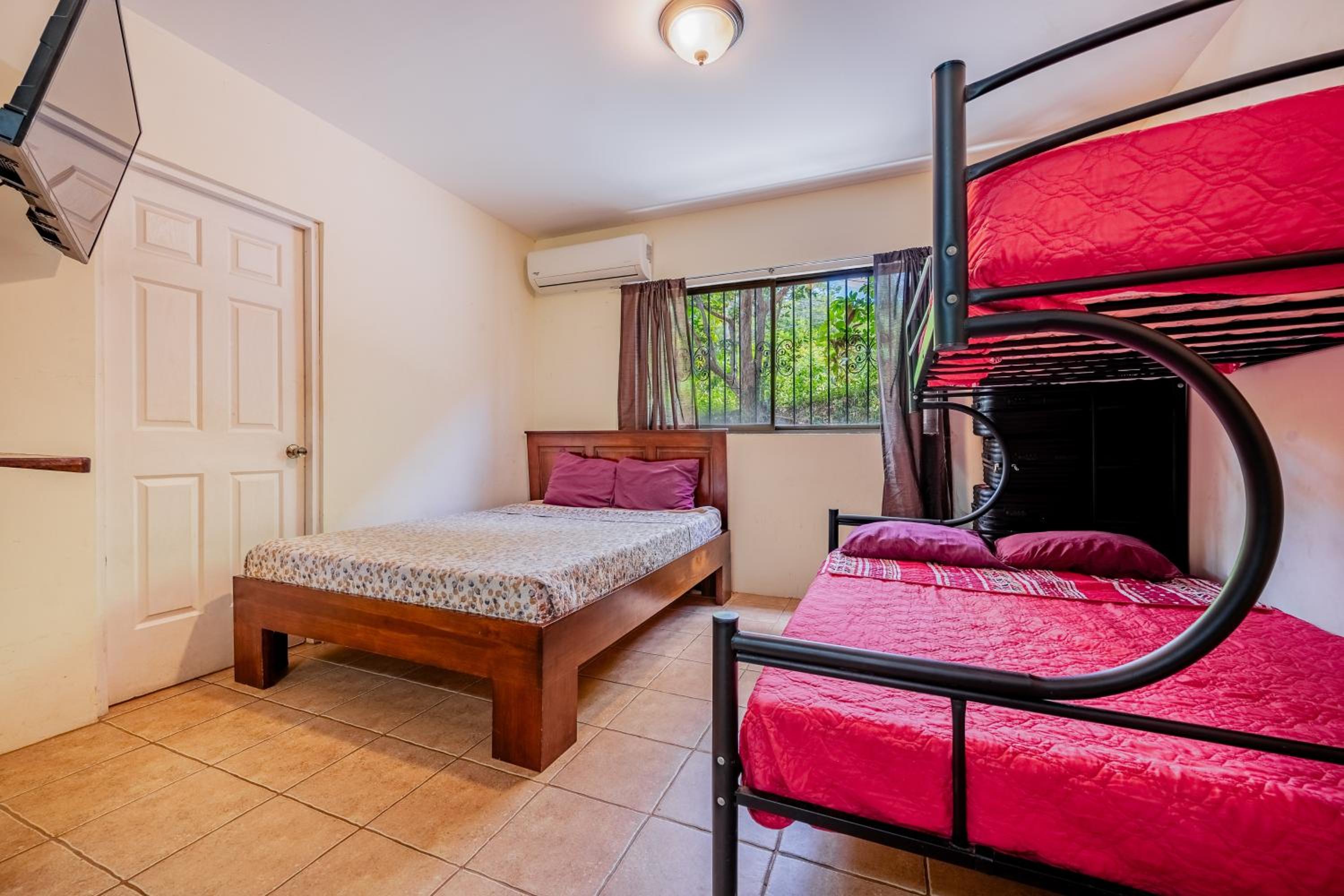 One Bedroom Apartment photo 2