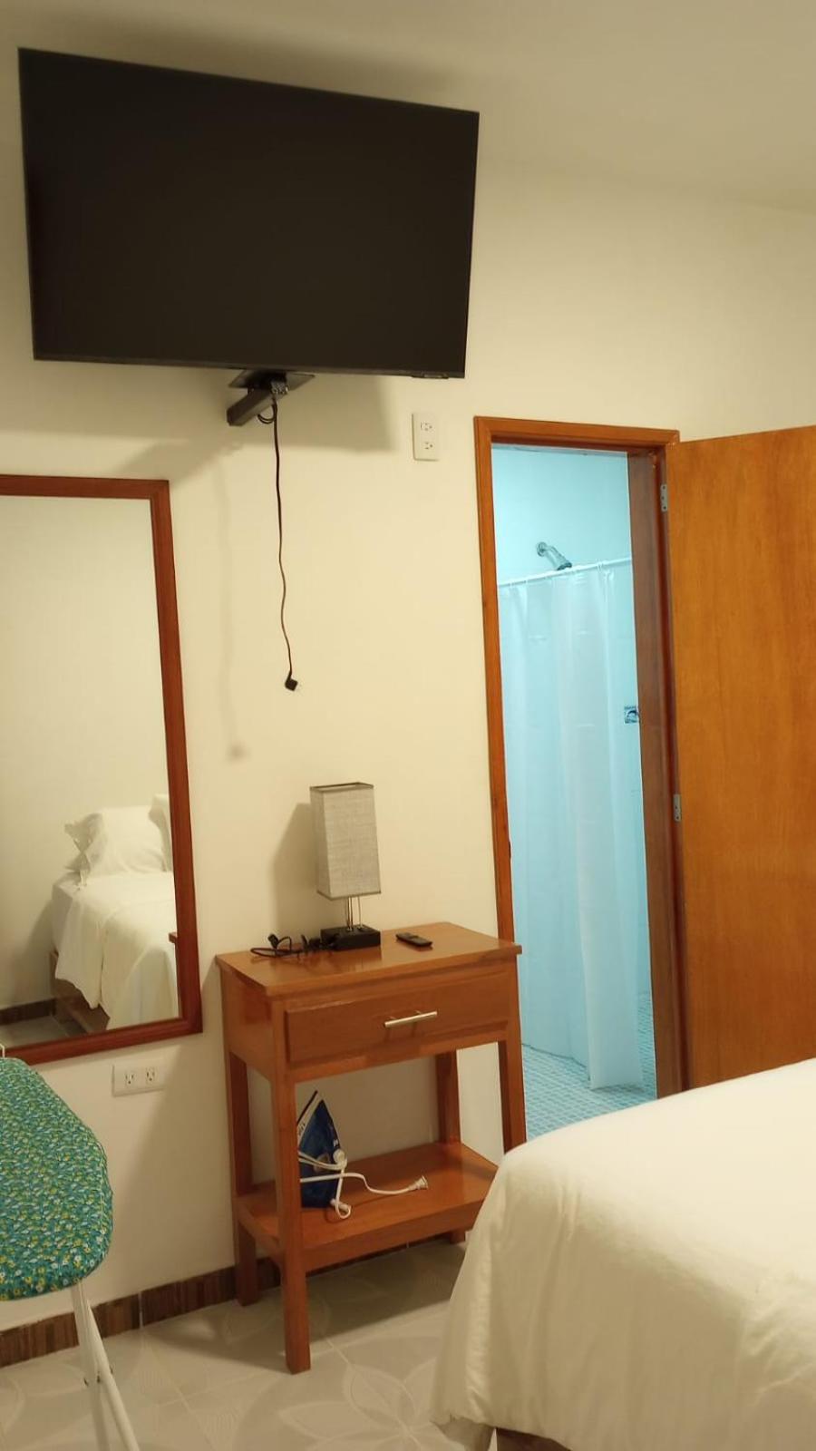 One-Bedroom Apartment photo 3