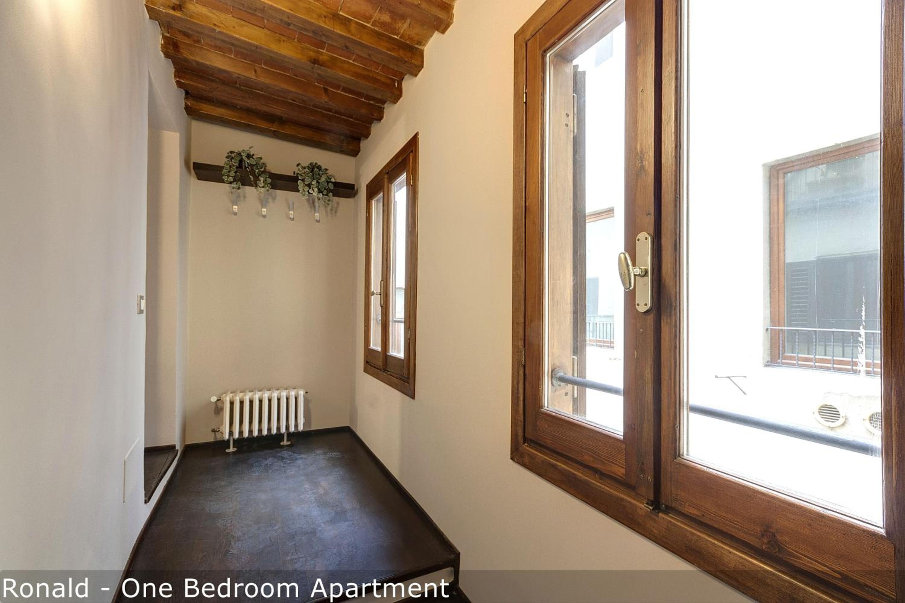 One-Bedroom Apartment photo 1