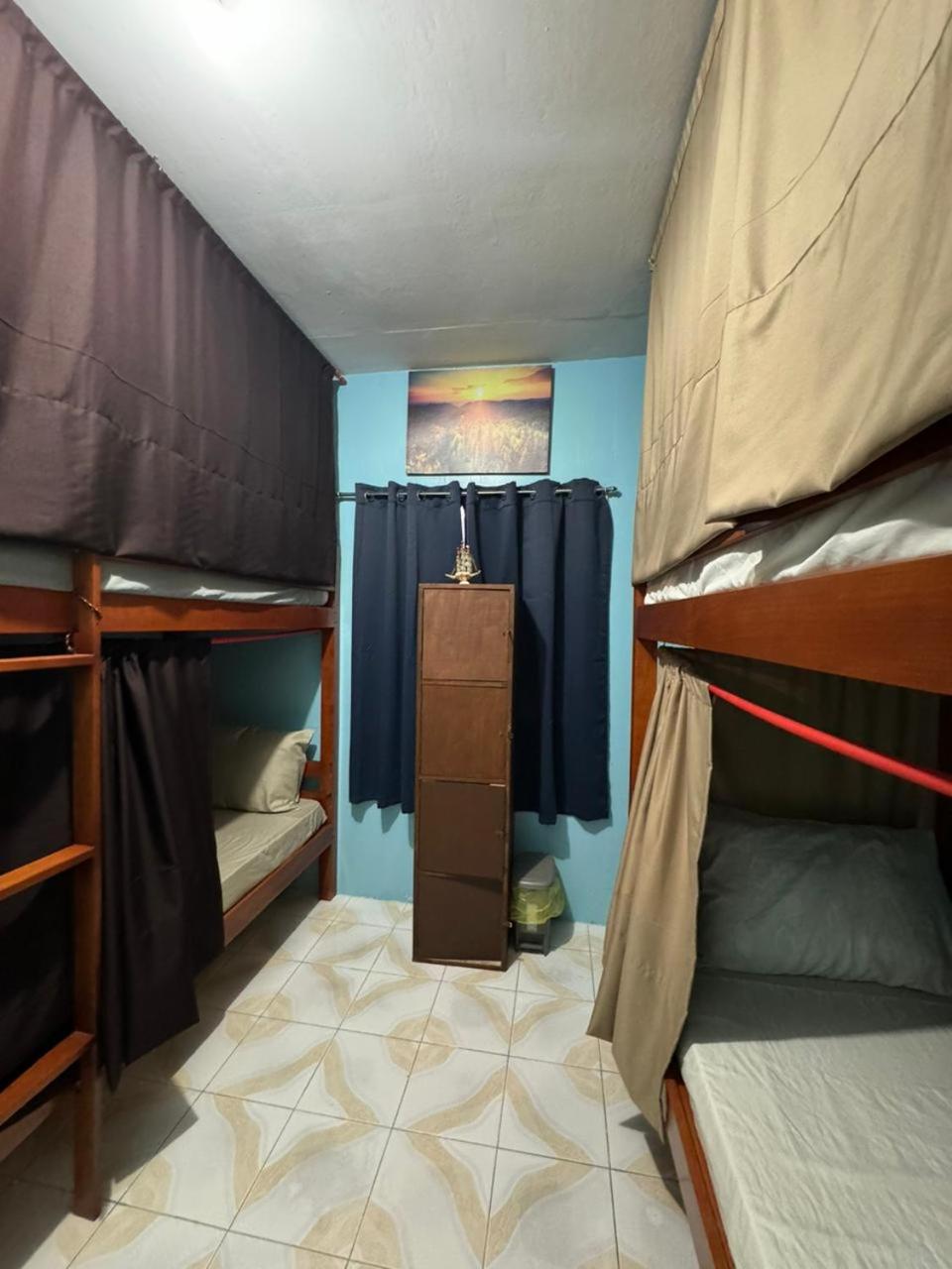 Bunk Bed in Mixed Dormitory Room photo 3