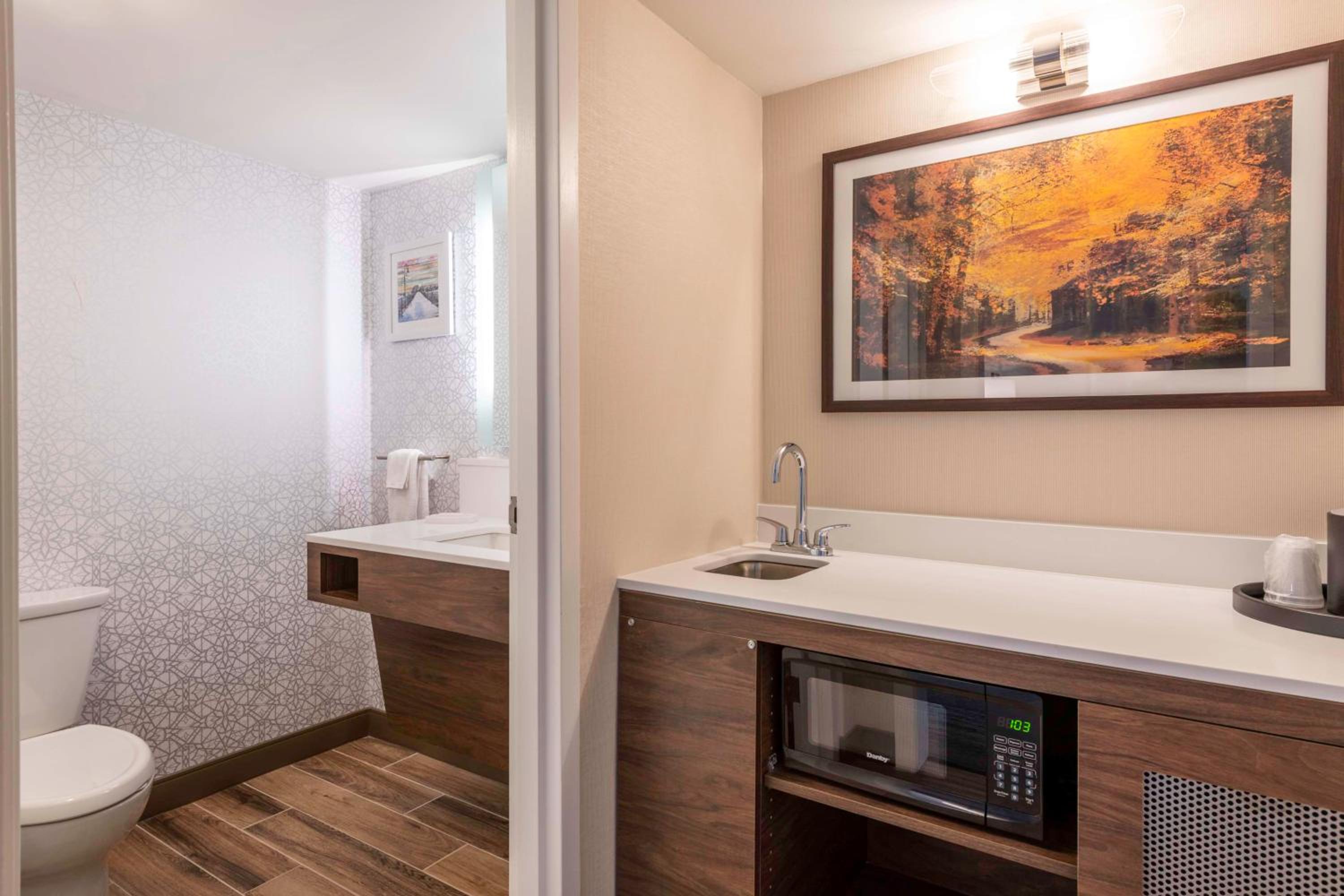 King Suite with Wet Bar - Photo 4