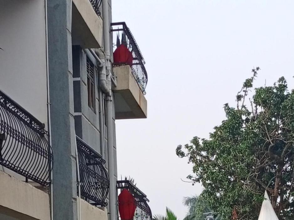 Single Room with Balcony photo 3