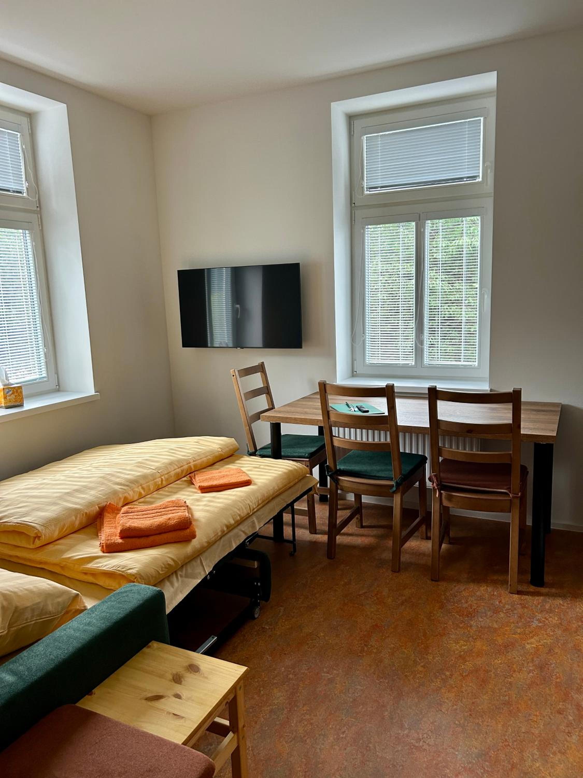 Standard Apartment photo 2