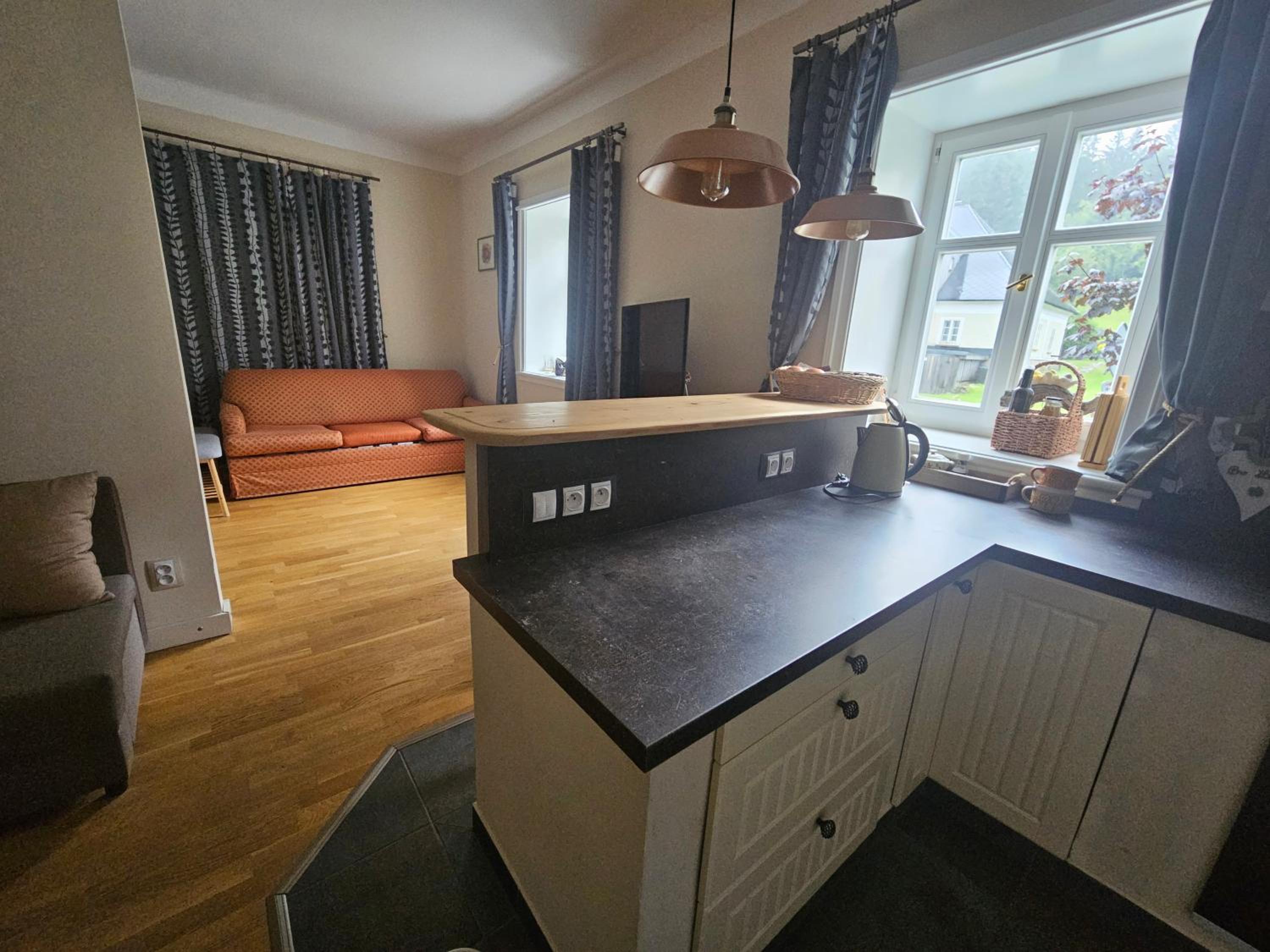 One-Bedroom Family Apartment photo 2