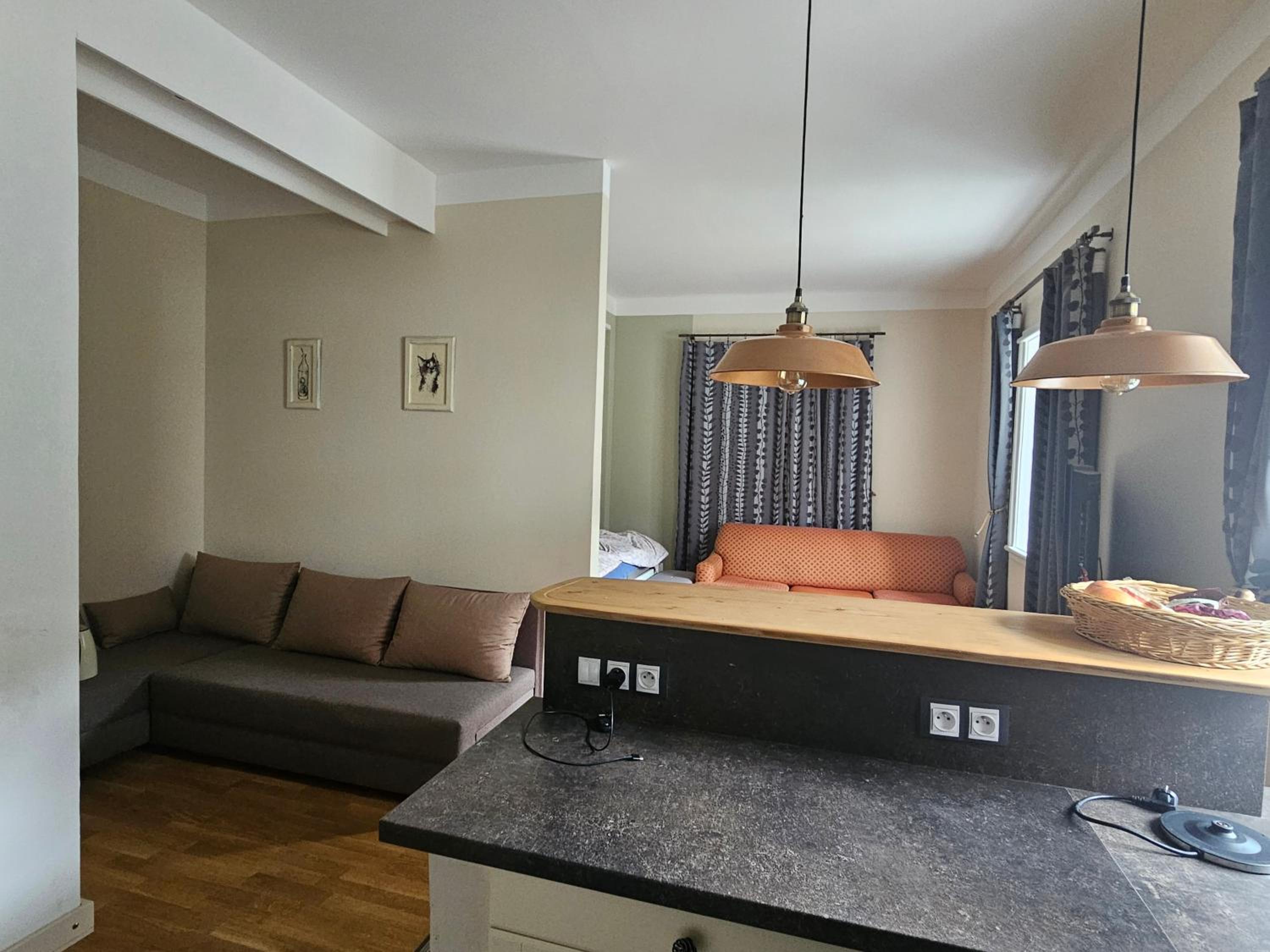 One-Bedroom Family Apartment photo 1