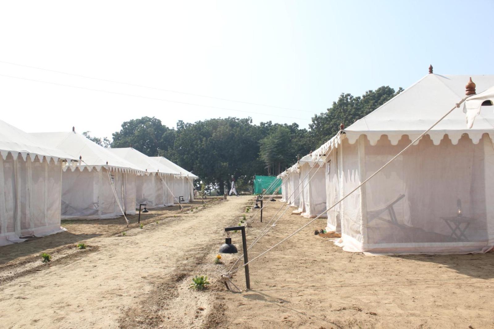 Tent photo 3