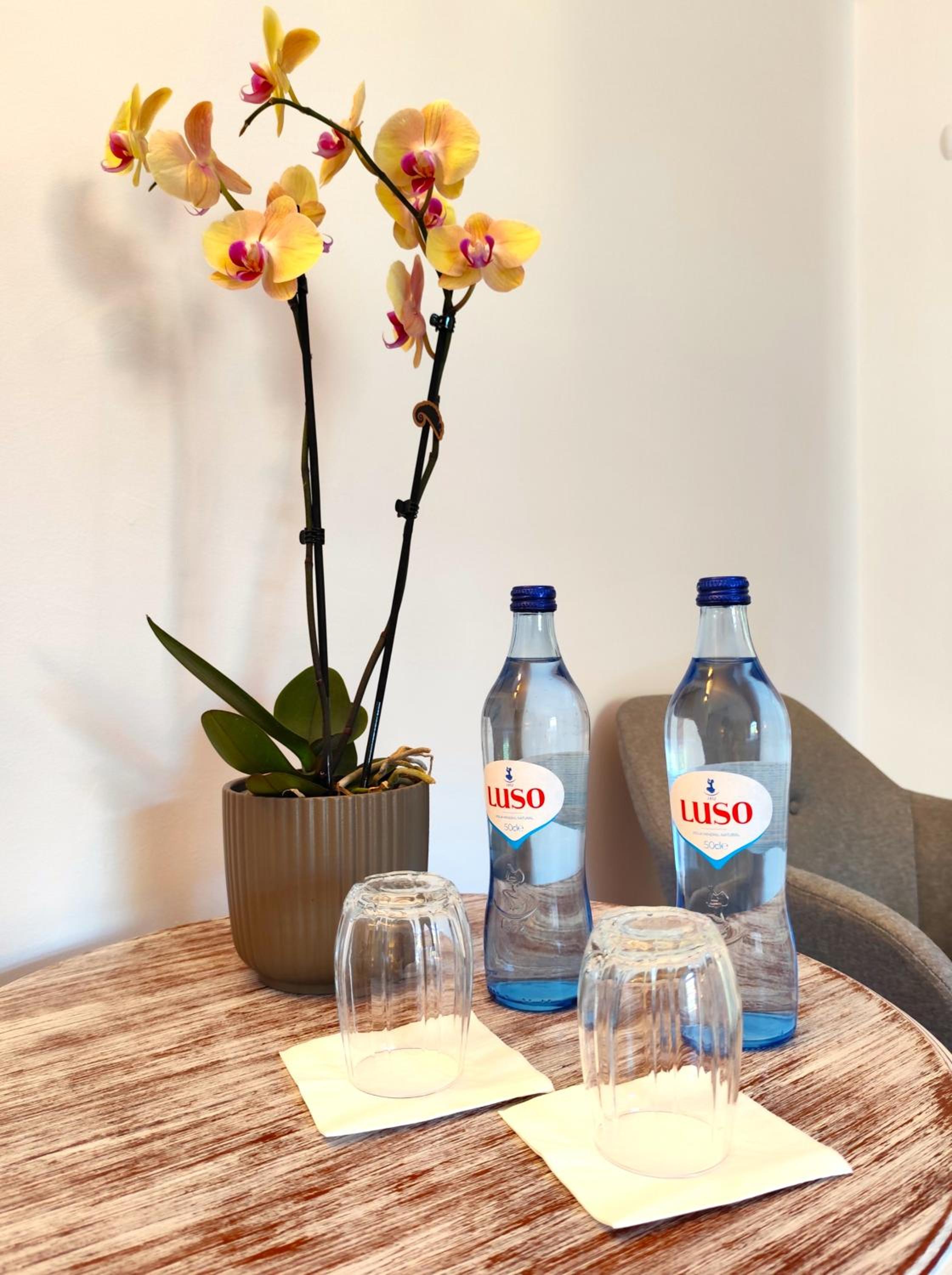 Luso Village Boutique Hotel, Billede 8