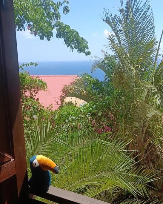 One-Bedroom Apartment with Sea View and Terrace photo 2