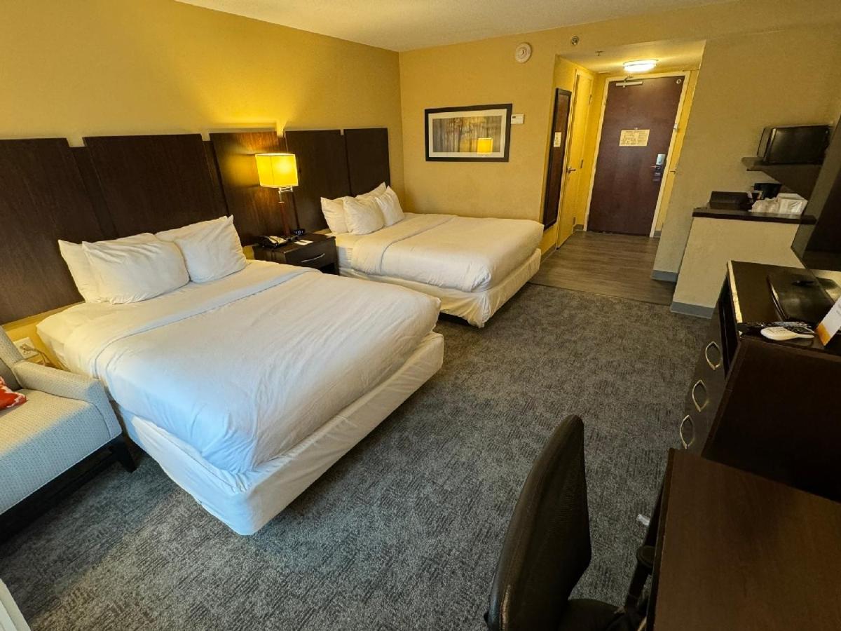 Standard King Room with Two King Beds - Non-Smoking - Photo 1