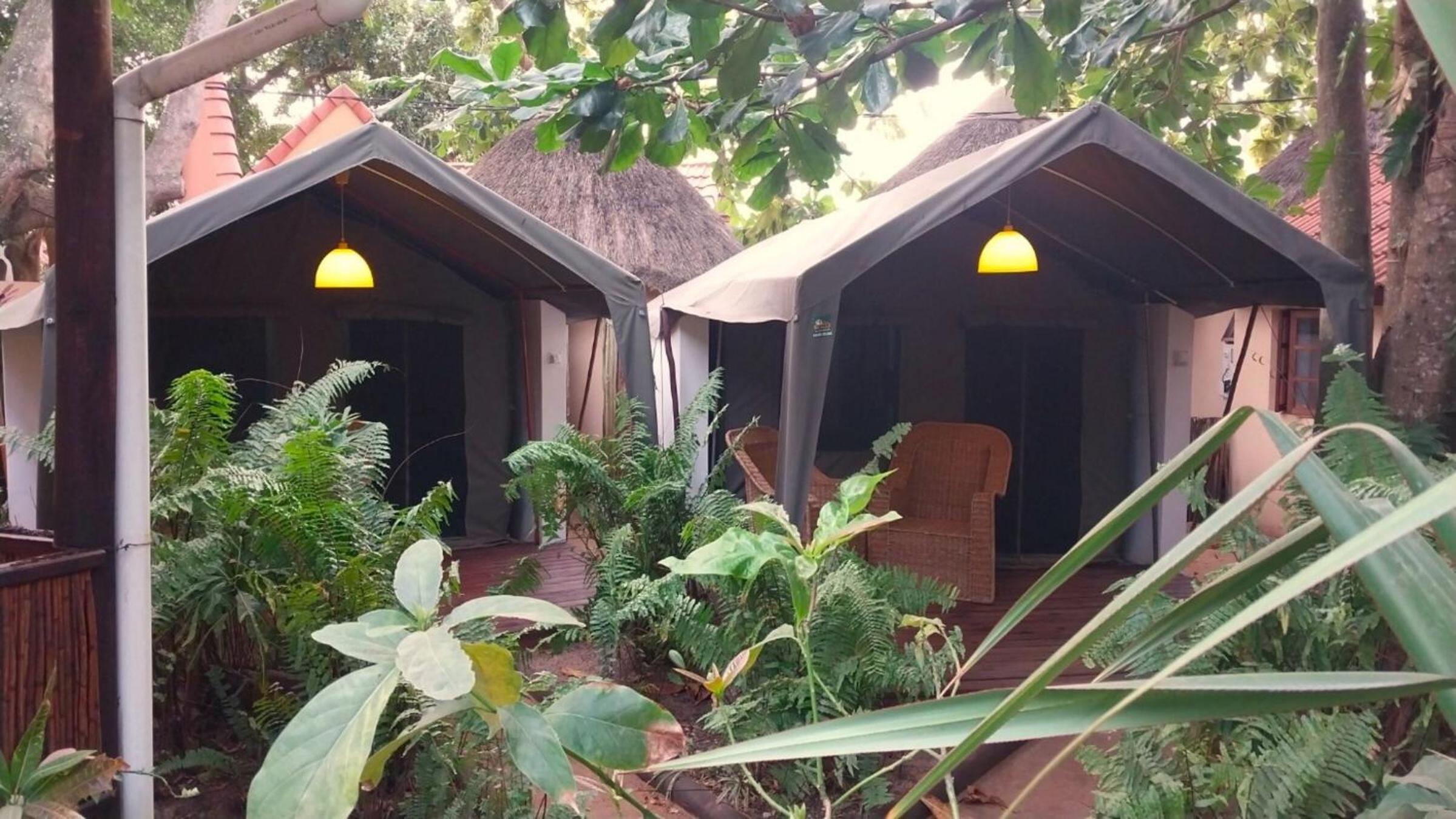 Comfort Tent With Private Bathroom photo 3