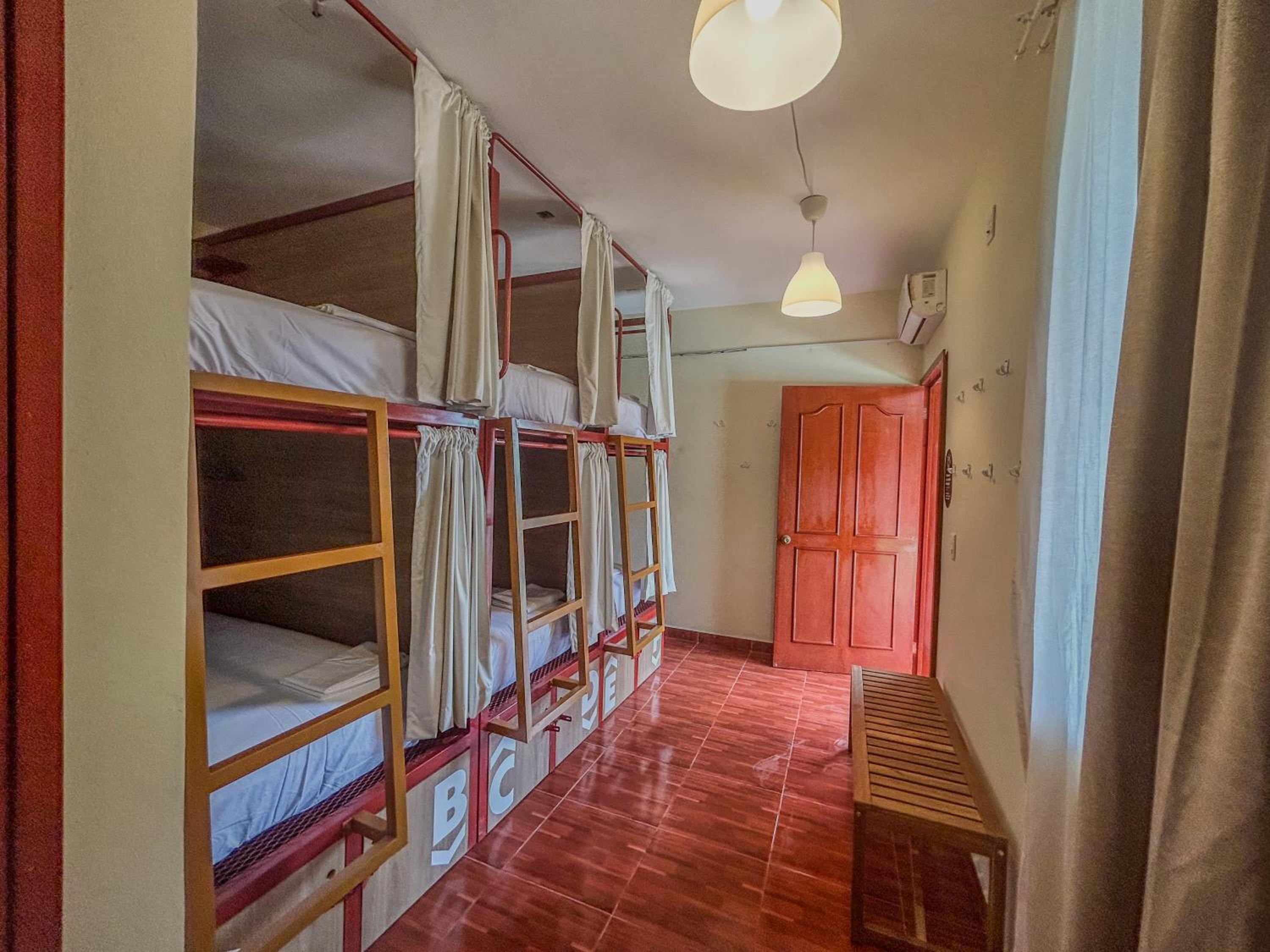Single Bed in 6-Bed Dormitory Room photo 1
