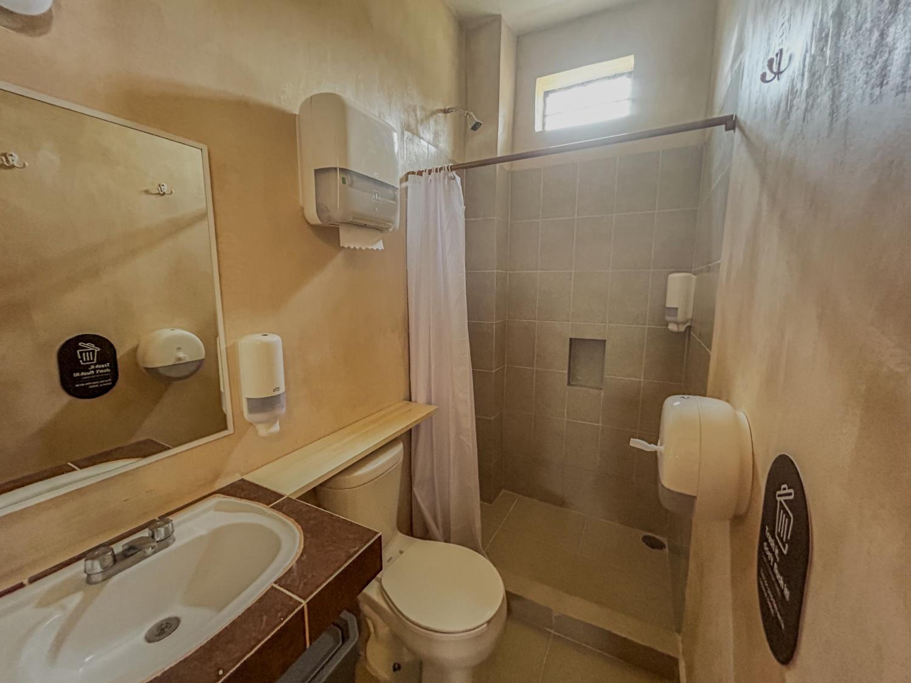 Single Bed in 6-Bed Dormitory Room photo 2