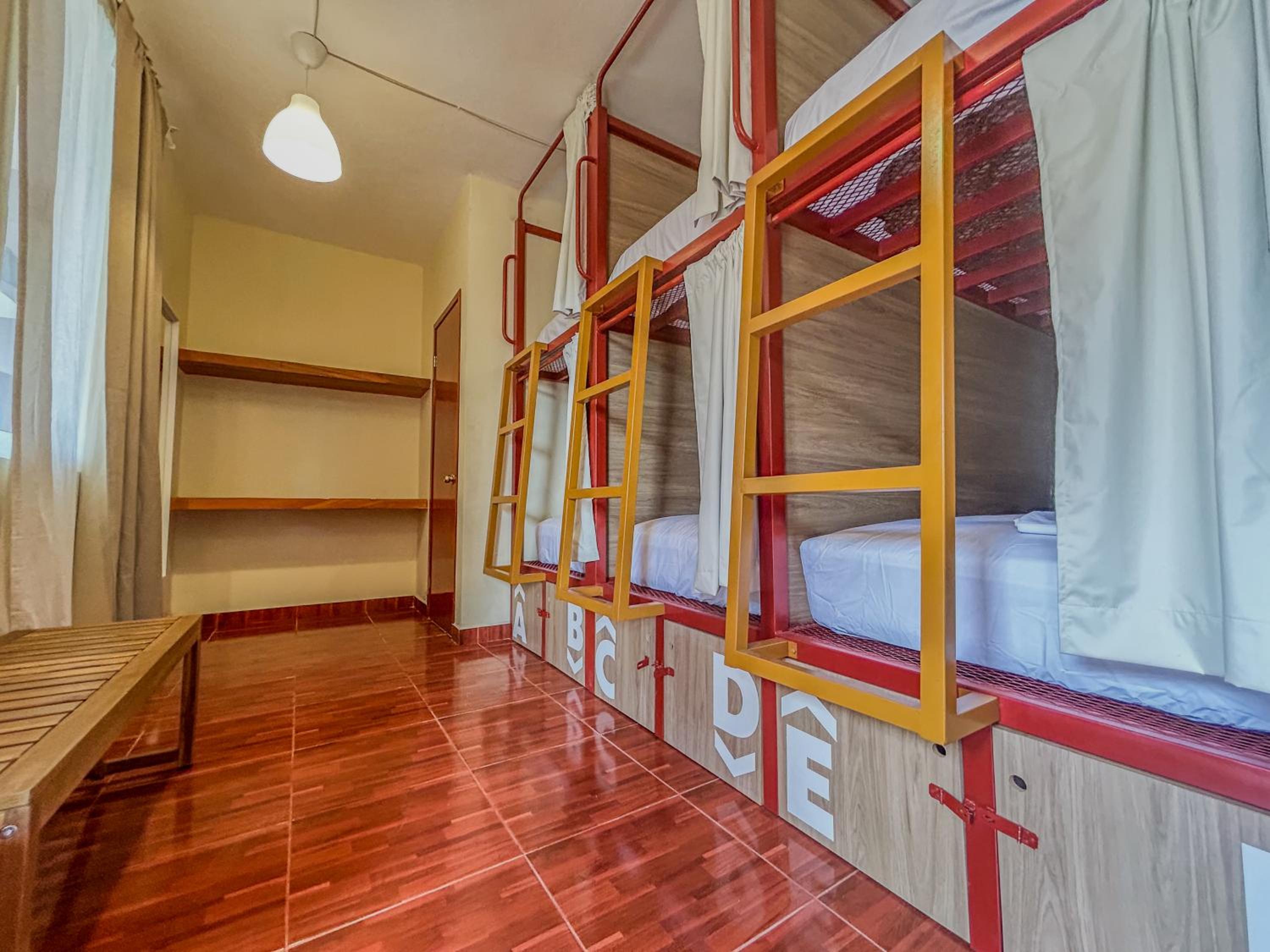 Bed in 6-Bed Female Dormitory Room photo 3
