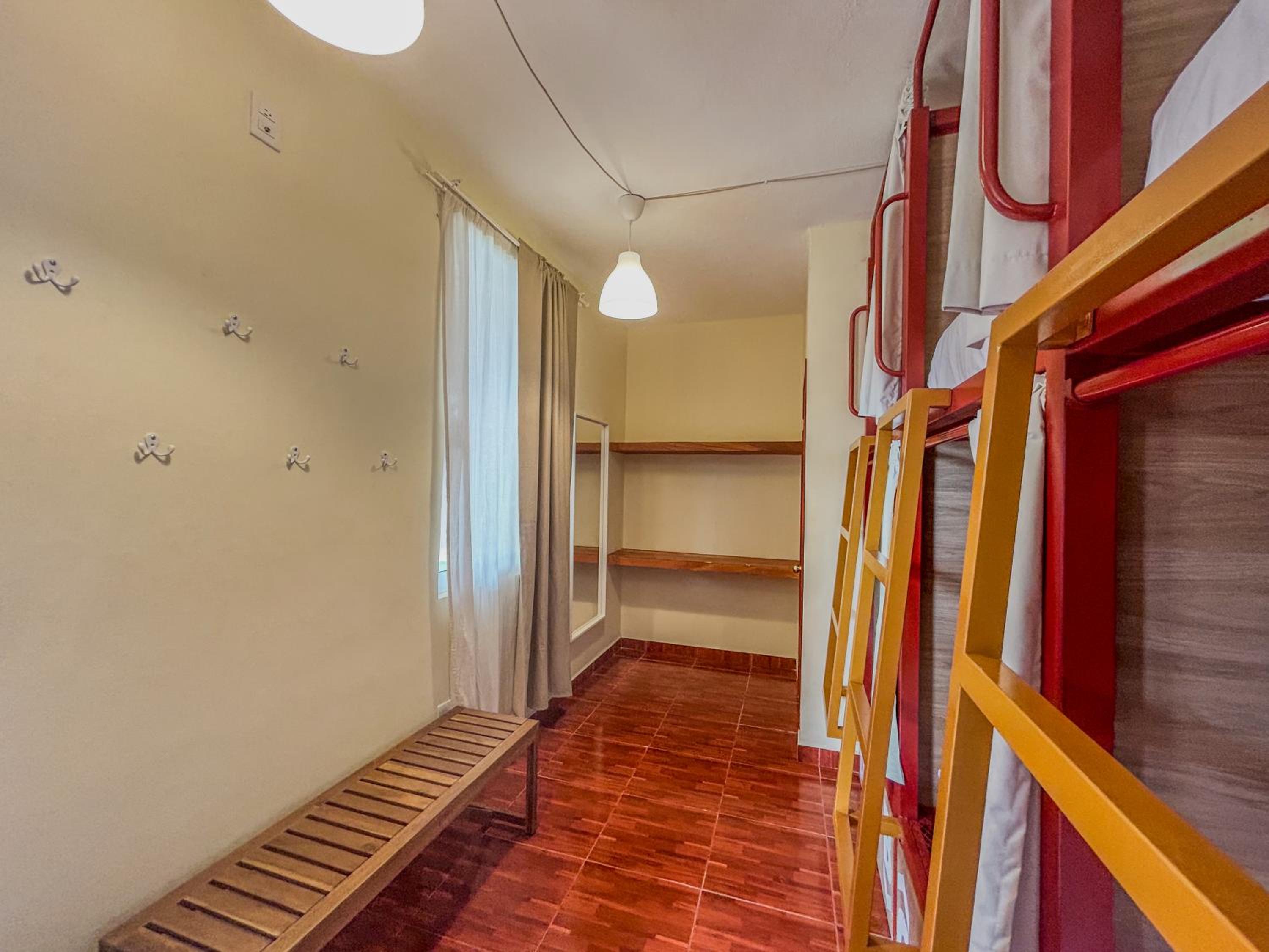 Single Bed in 6-Bed Dormitory Room photo 3