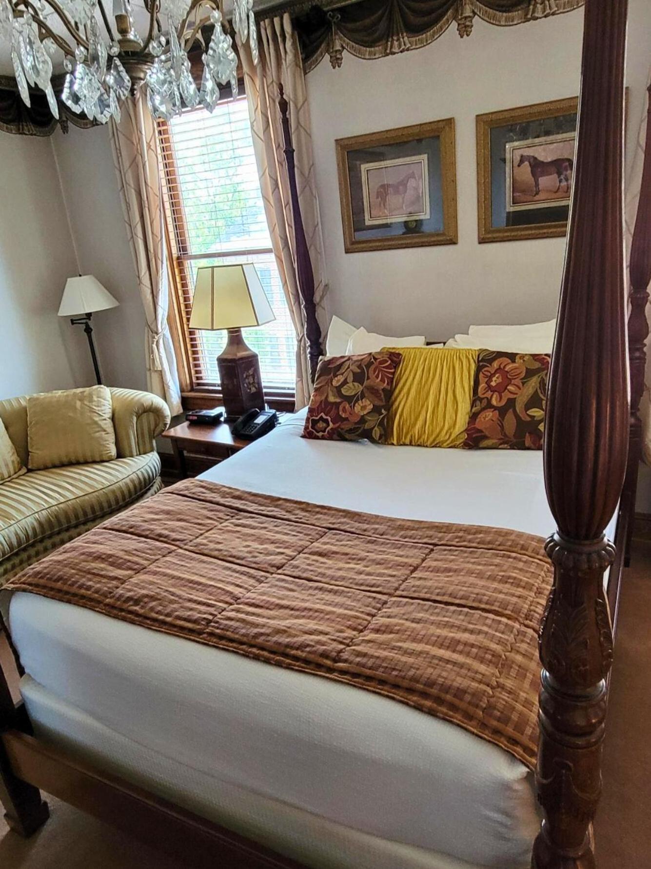 Queen Room photo 1