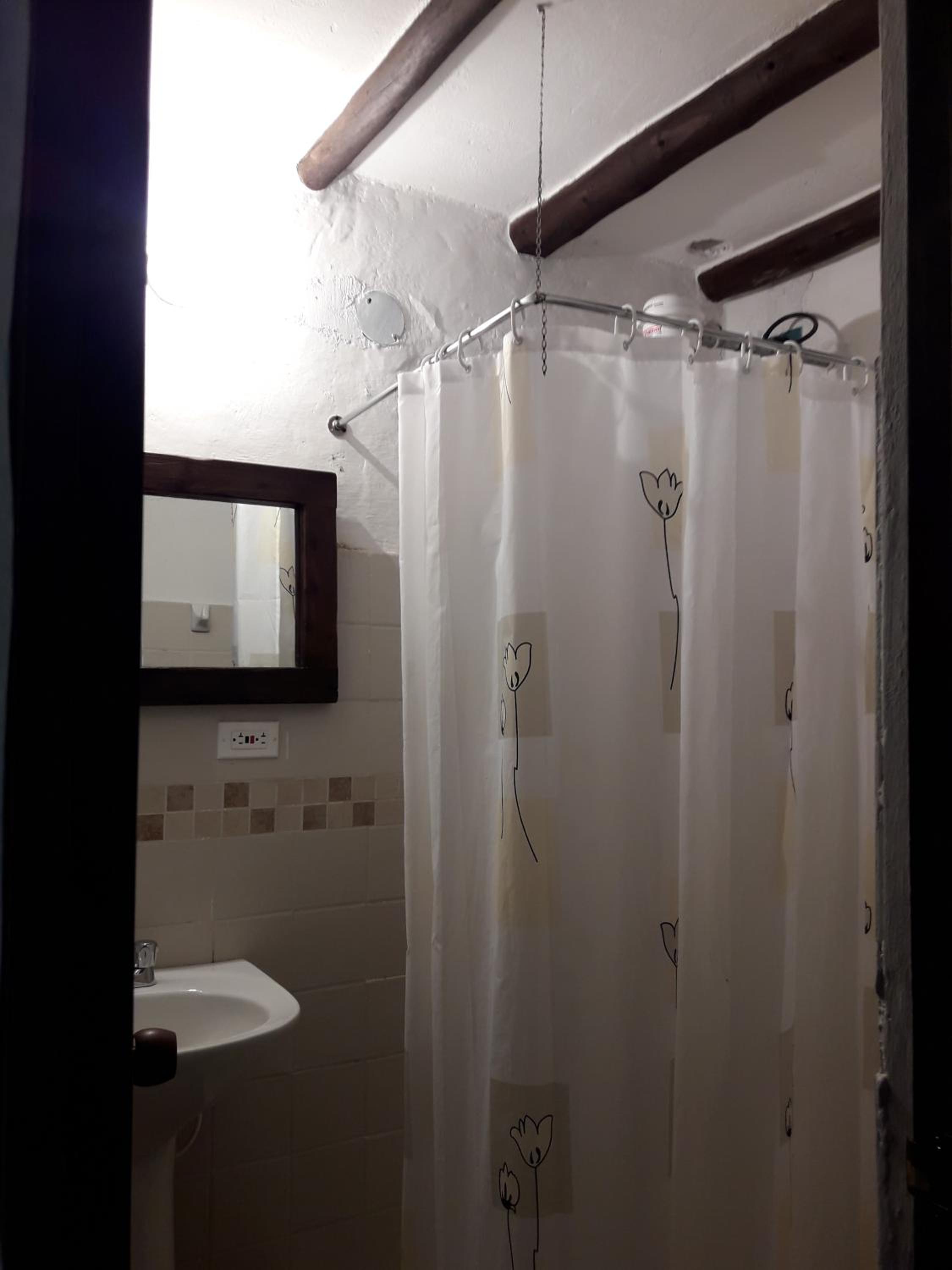 Large Single Room photo 2