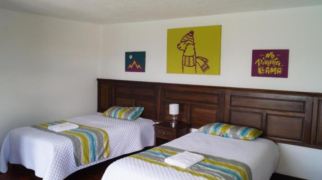 Standard Twin Room photo 1