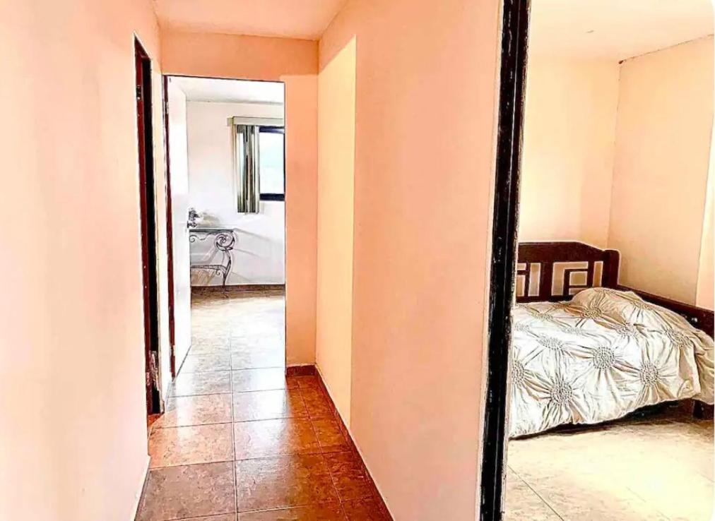 One-Bedroom Apartment photo 3
