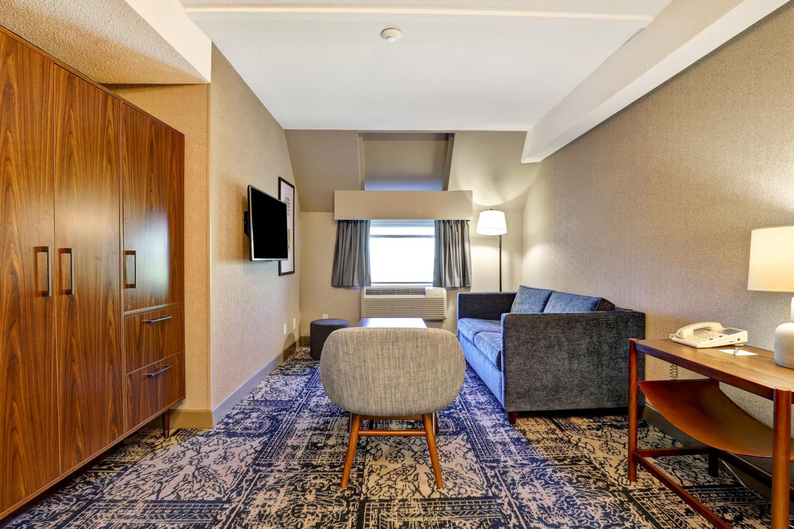Larger Suite, 1 King, Sofa bed - Photo 5
