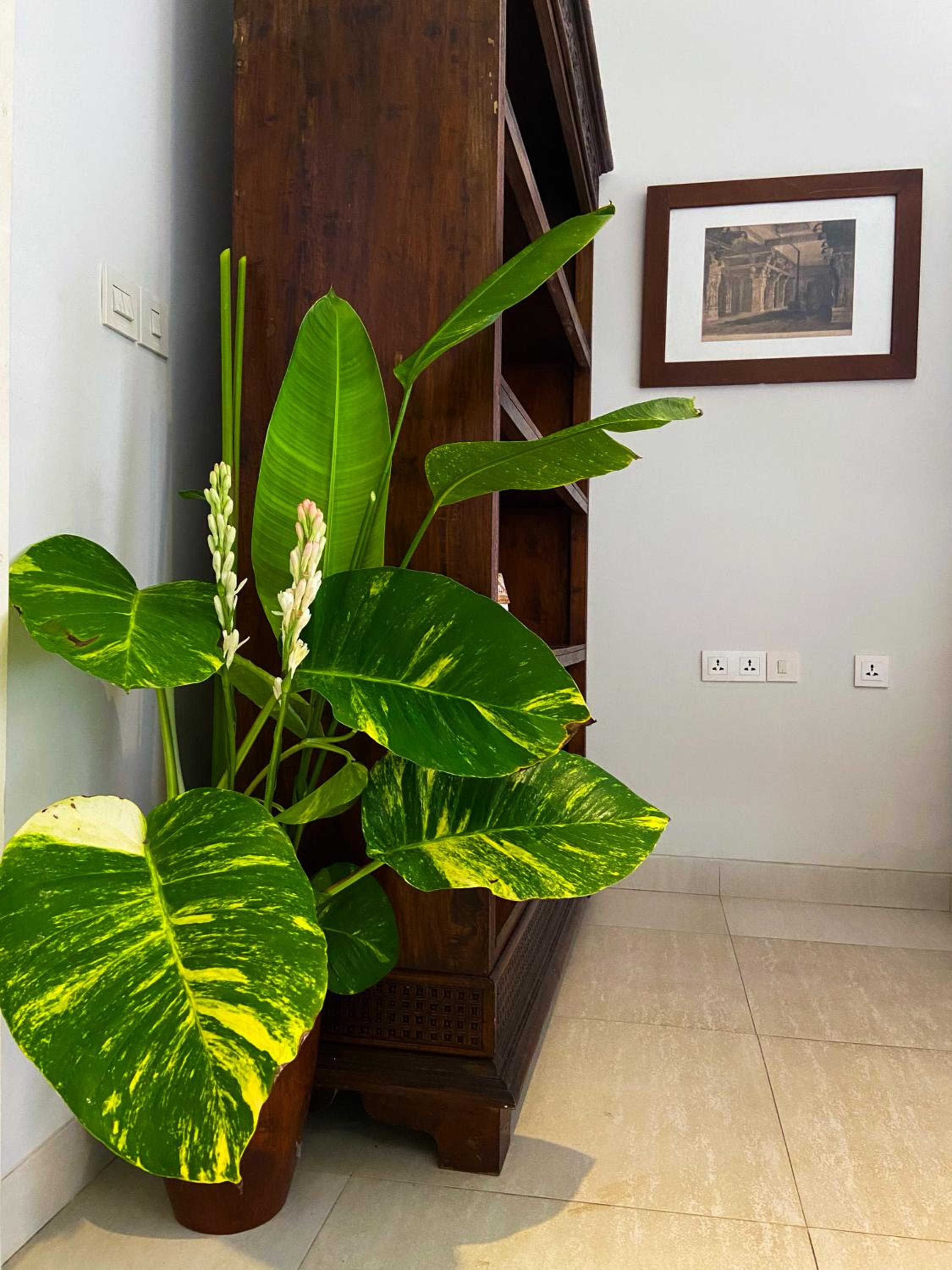 Double Room - Photo 11