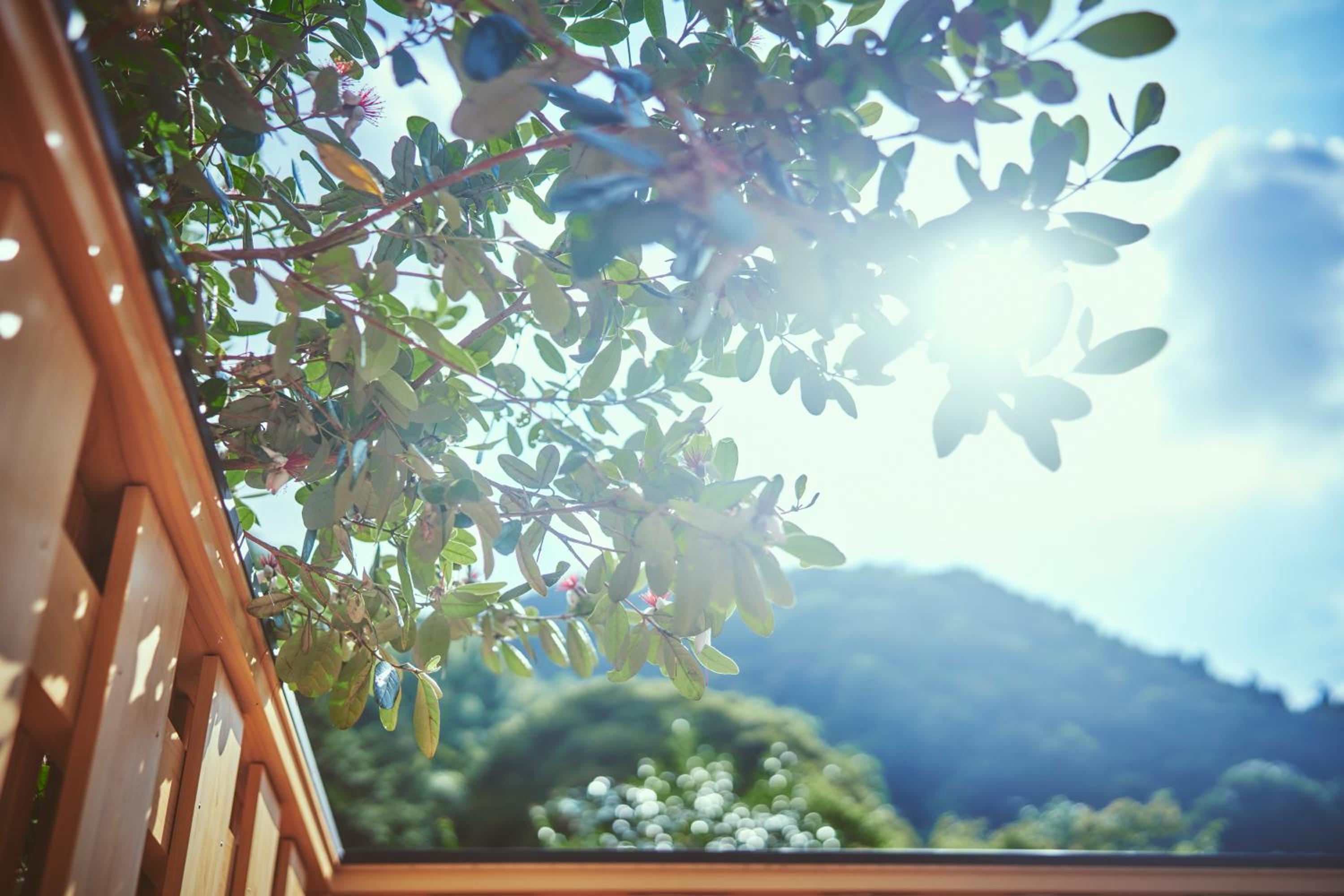 Twin Room with Garden View photo 3