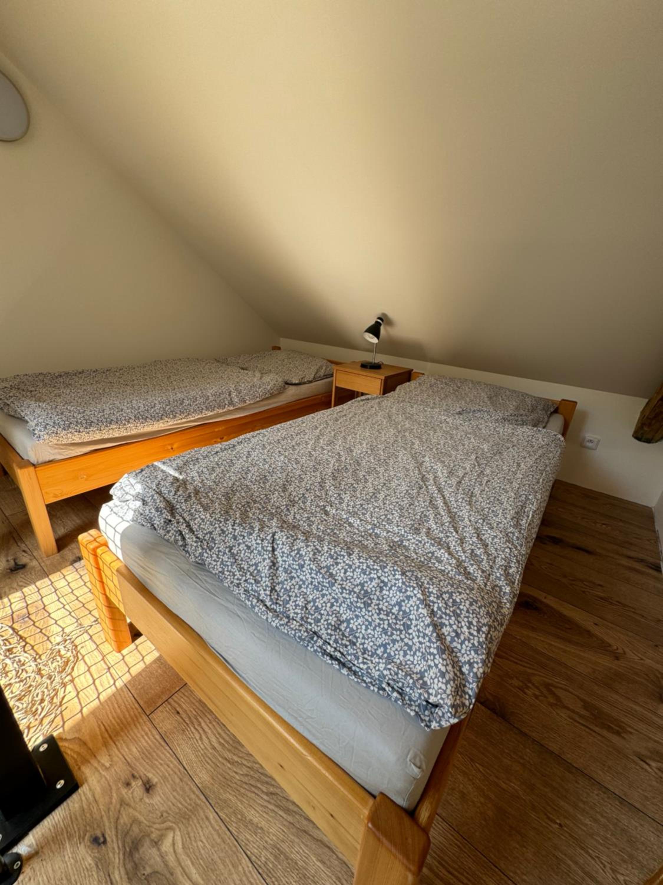 Twin Room photo 2