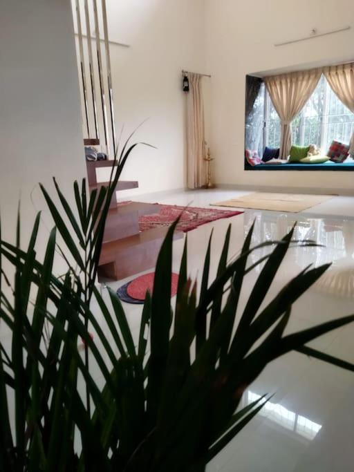 One-Bedroom Villa photo 3