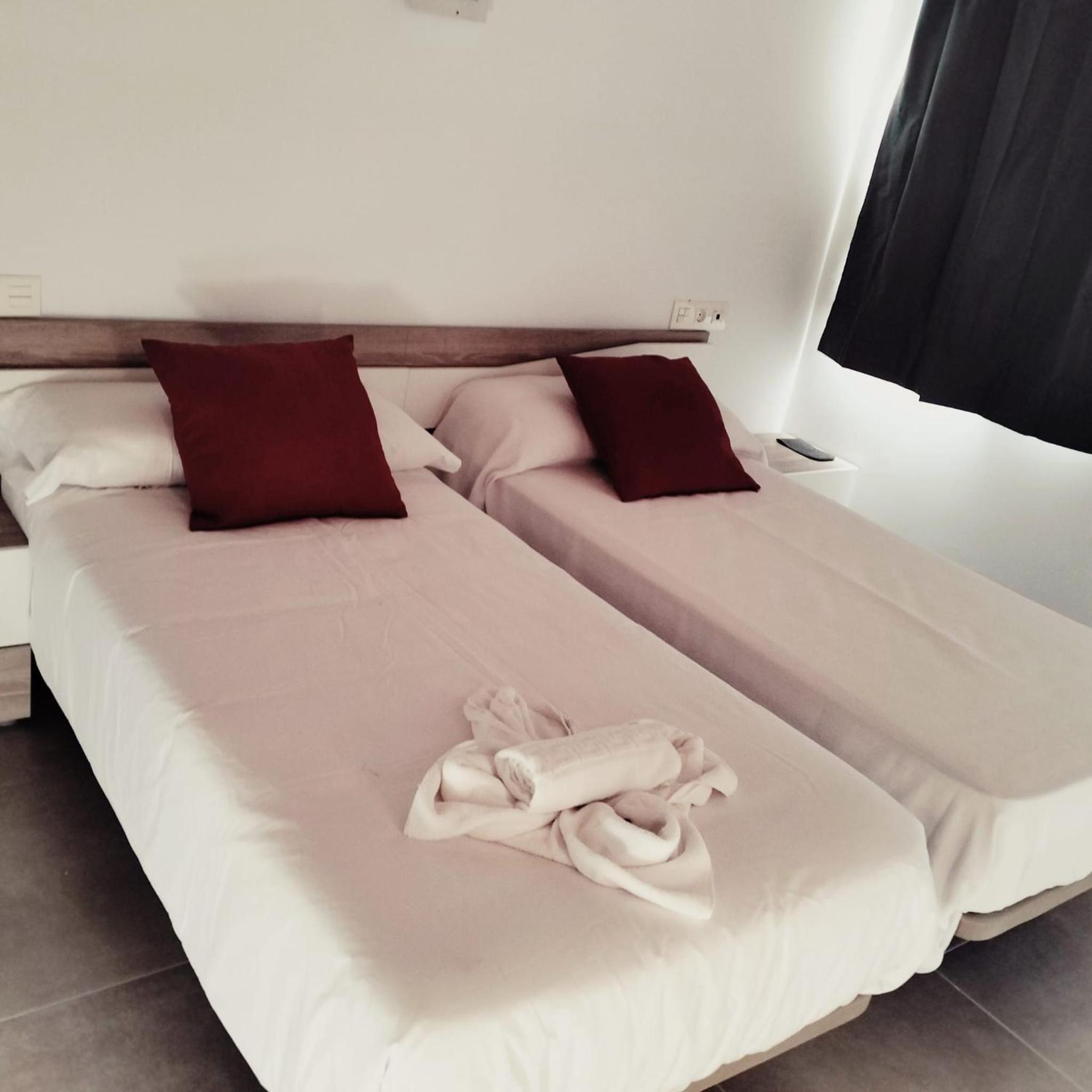 Twin Room photo 3
