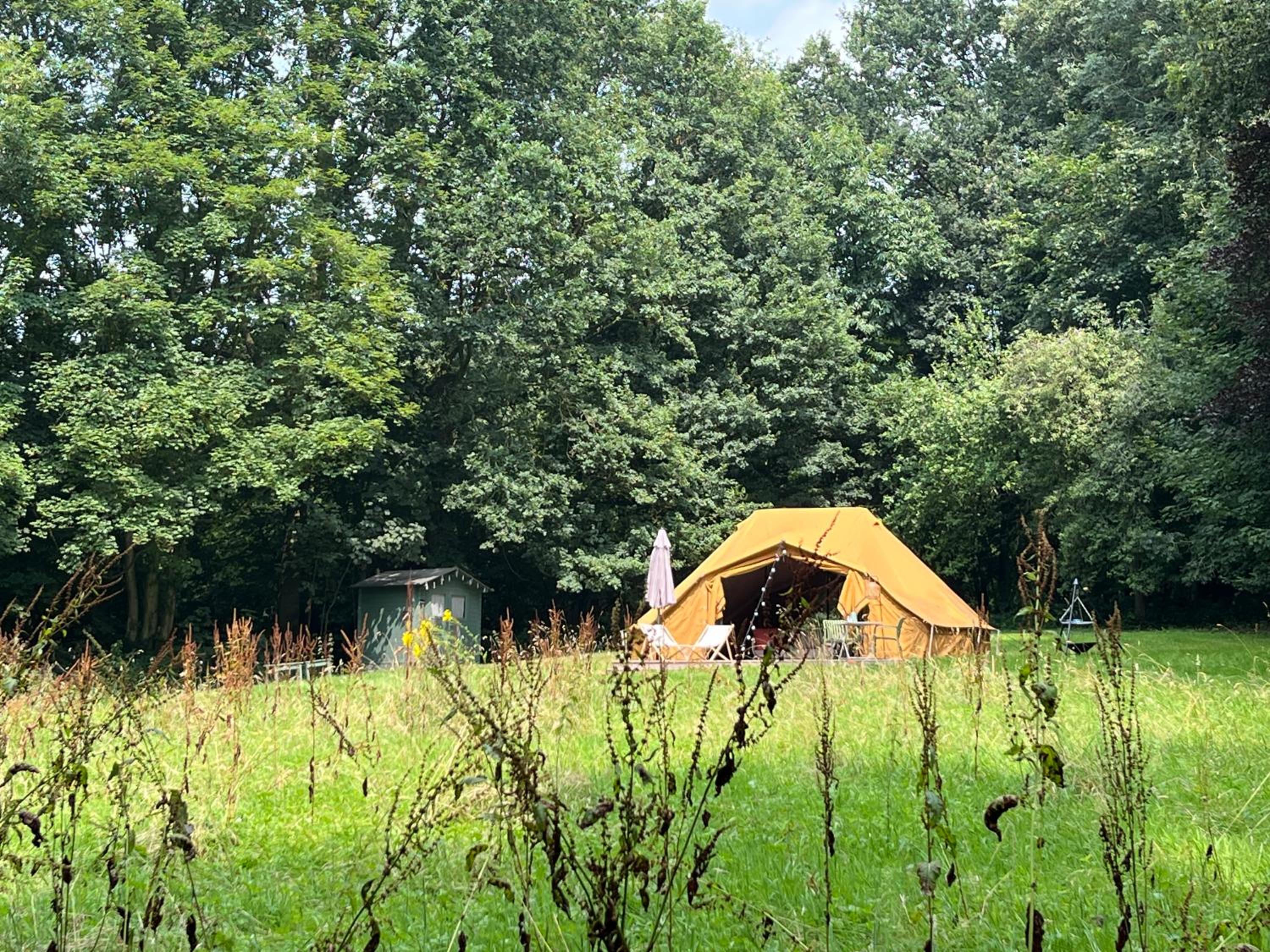 Tent photo 2