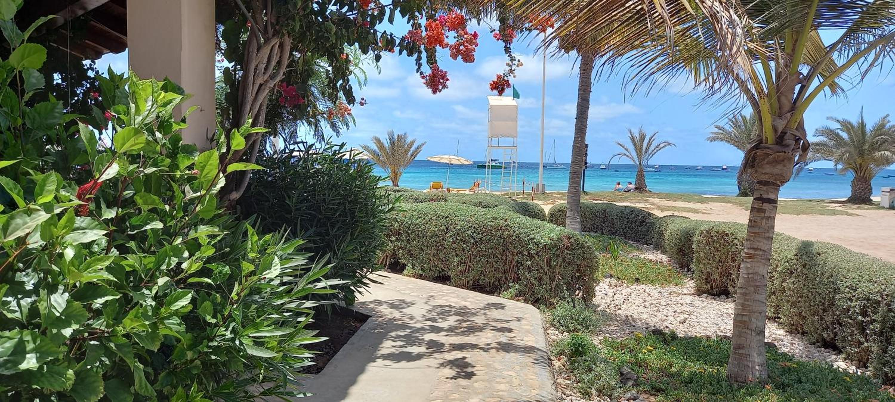 Apartment with Sea View photo 3