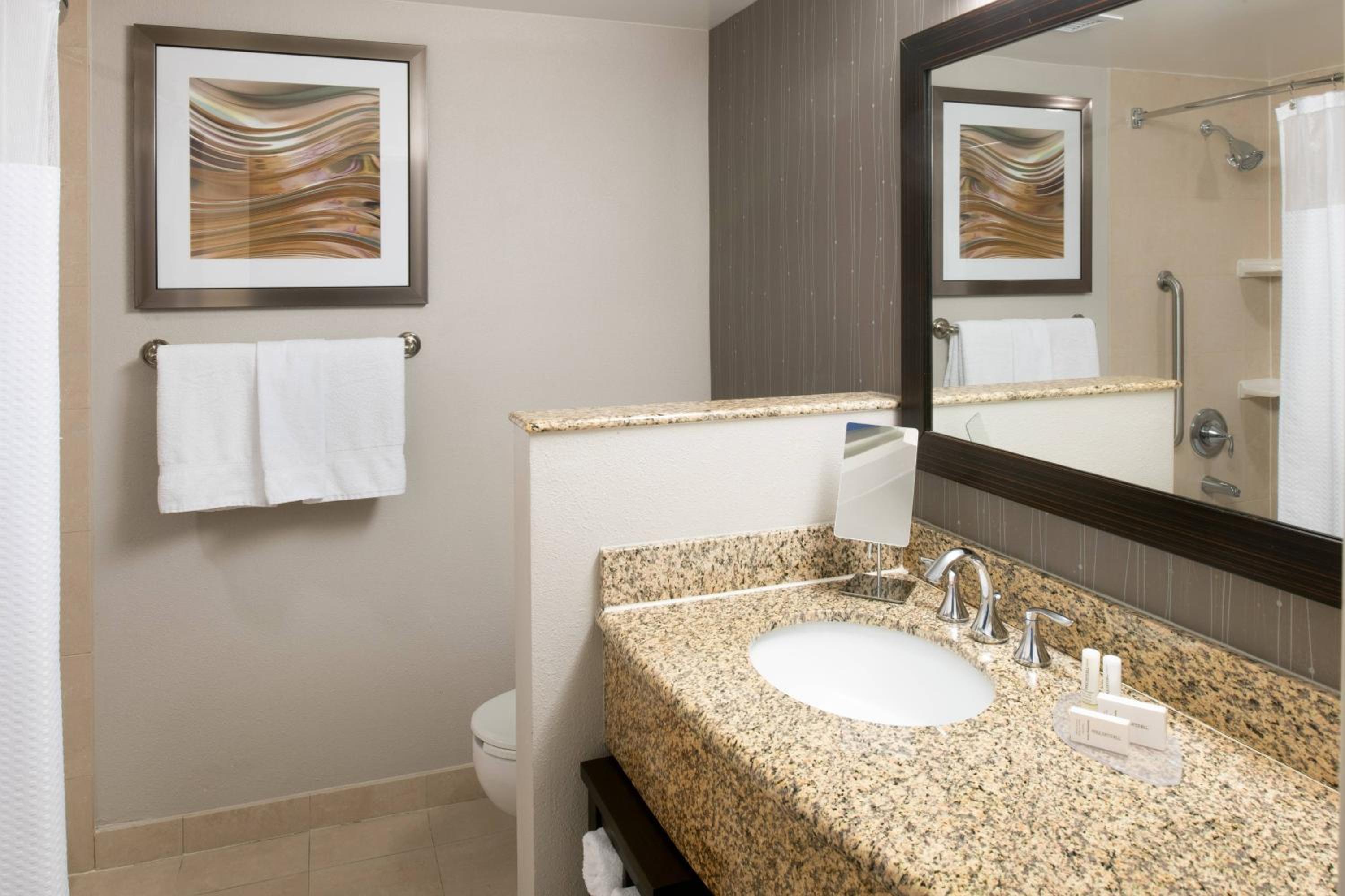 Newly Renovated King Room with Sofa Bed - Mobility/Hearing Accessible with Roll-In Shower - Photo 4