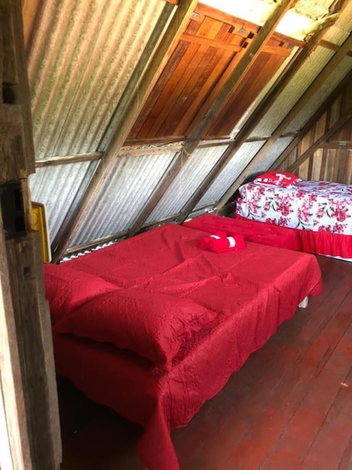 Three-Bedroom House photo 1