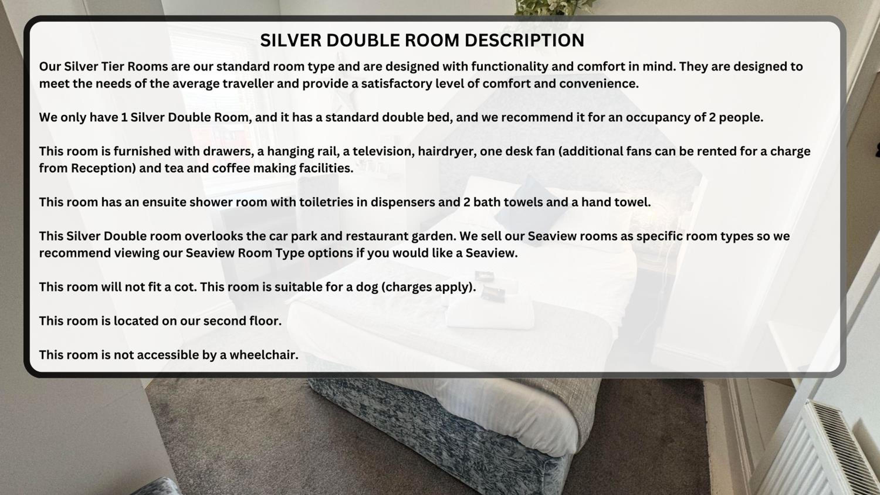 Silver Double photo 1