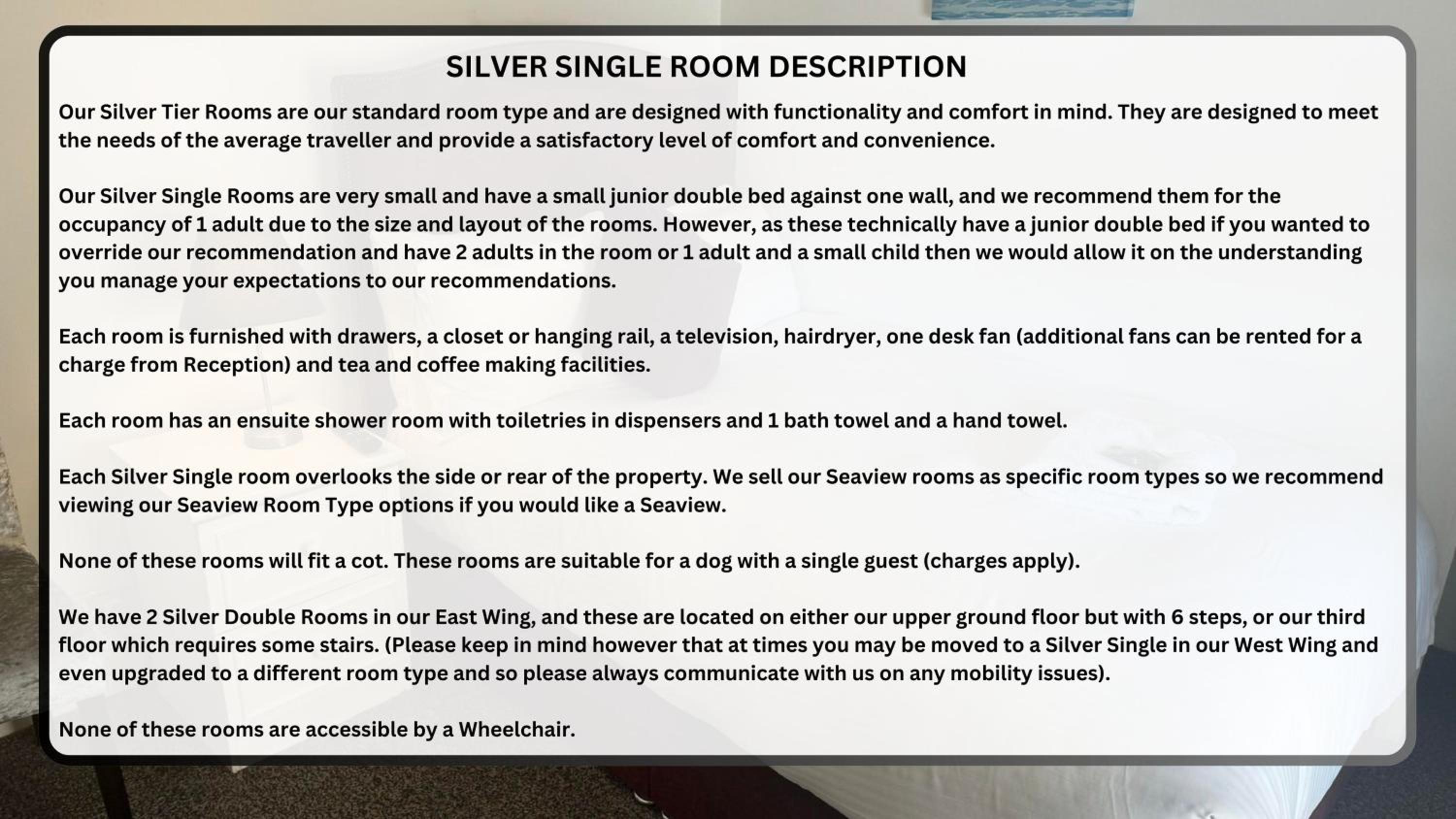 Silver Single photo 2