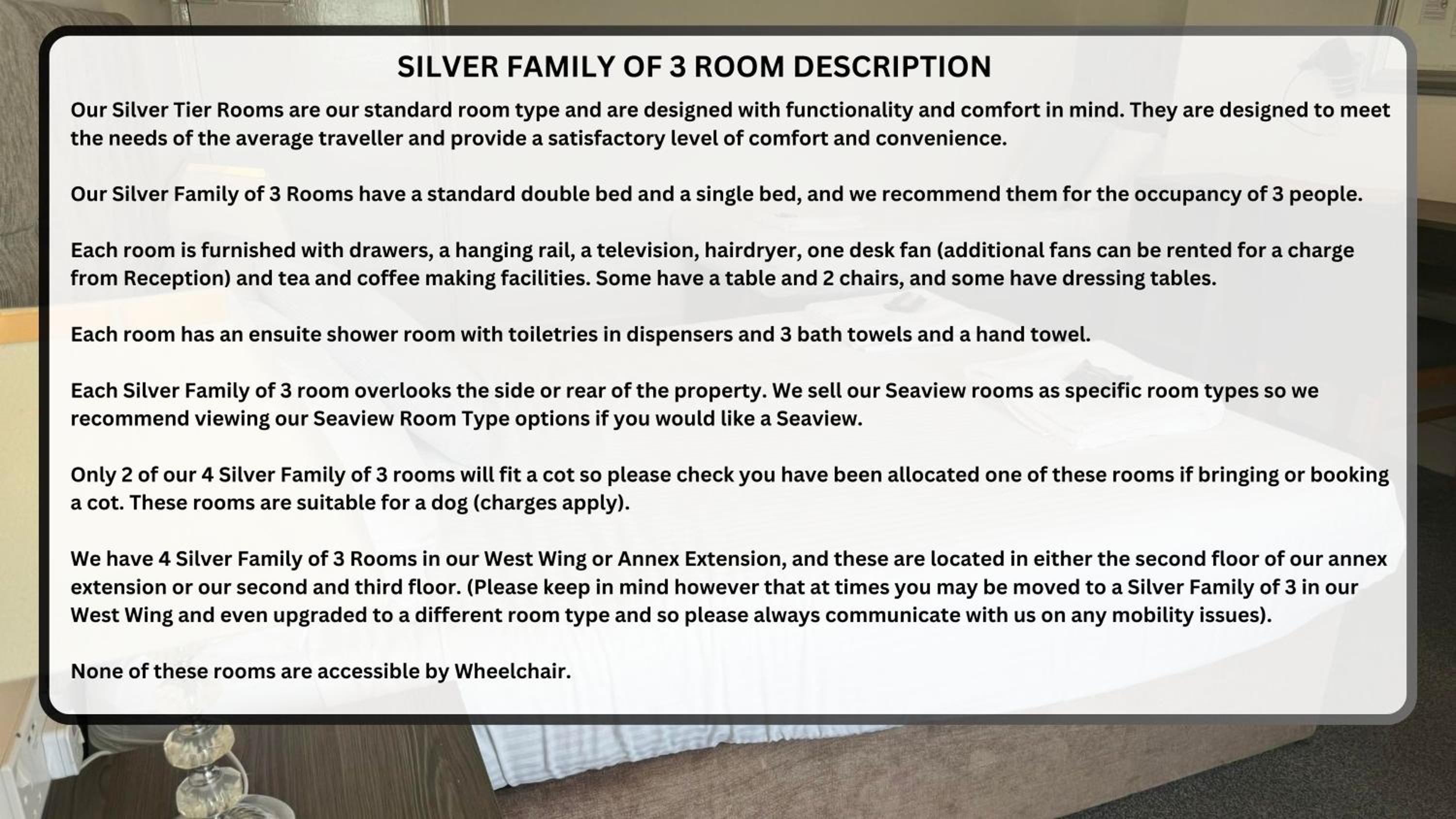 Silver Family of 3 photo 3