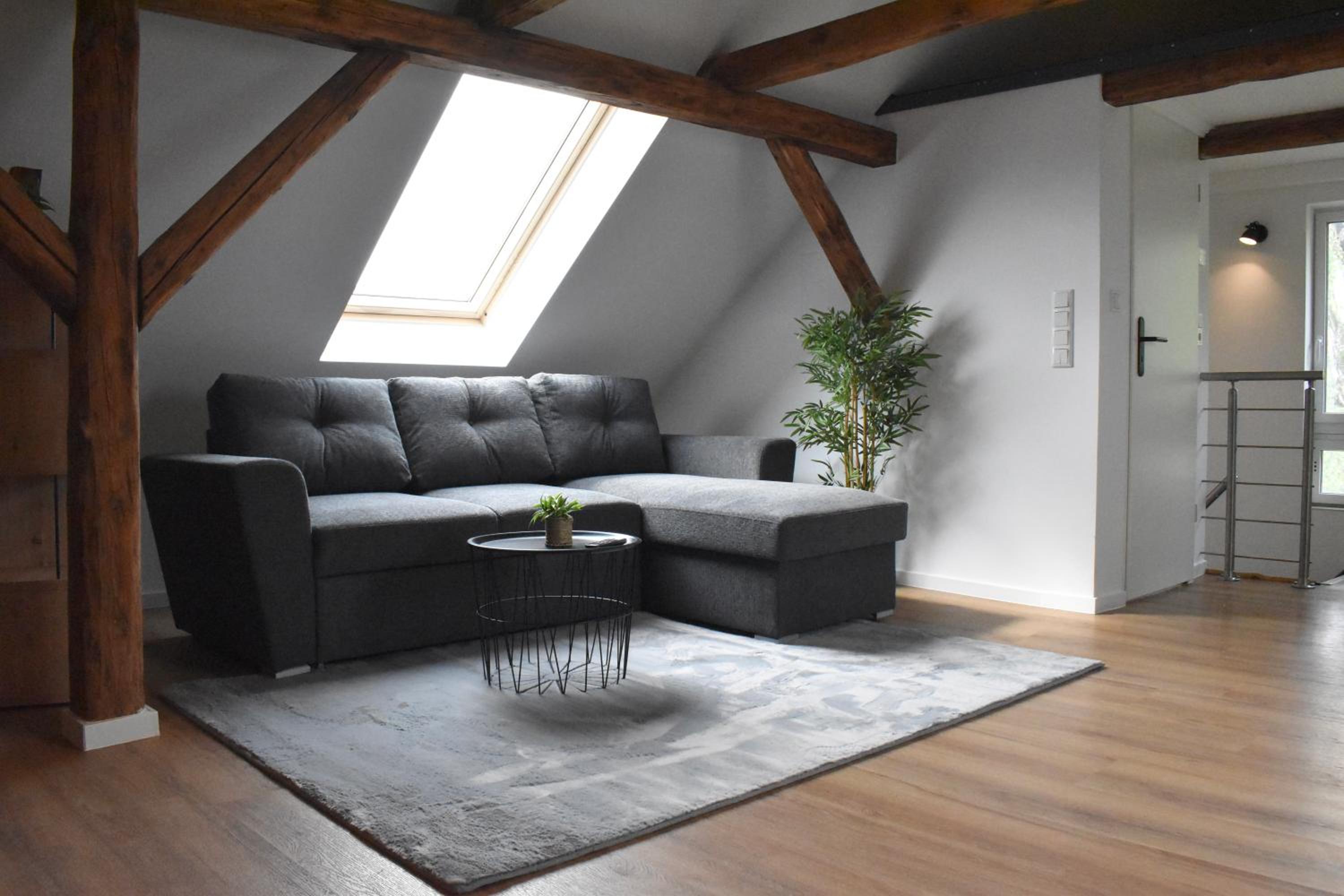 One-Bedroom Apartment photo 2