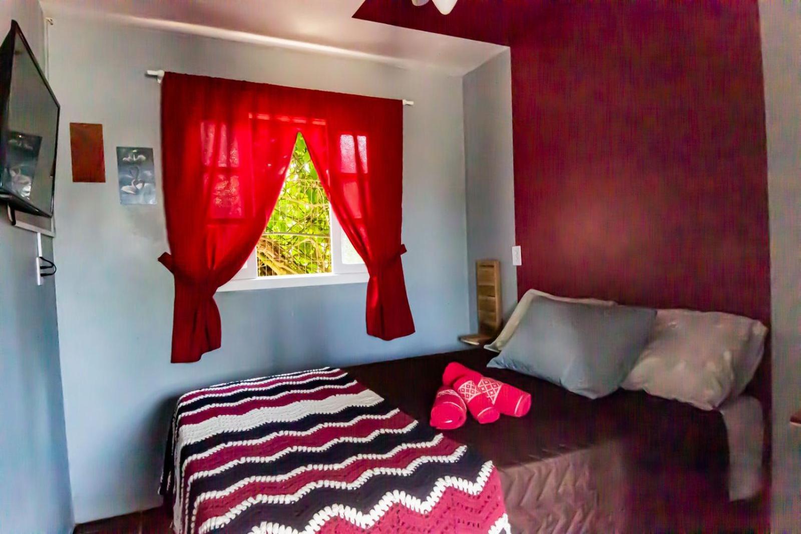 Studio Apartment photo 1