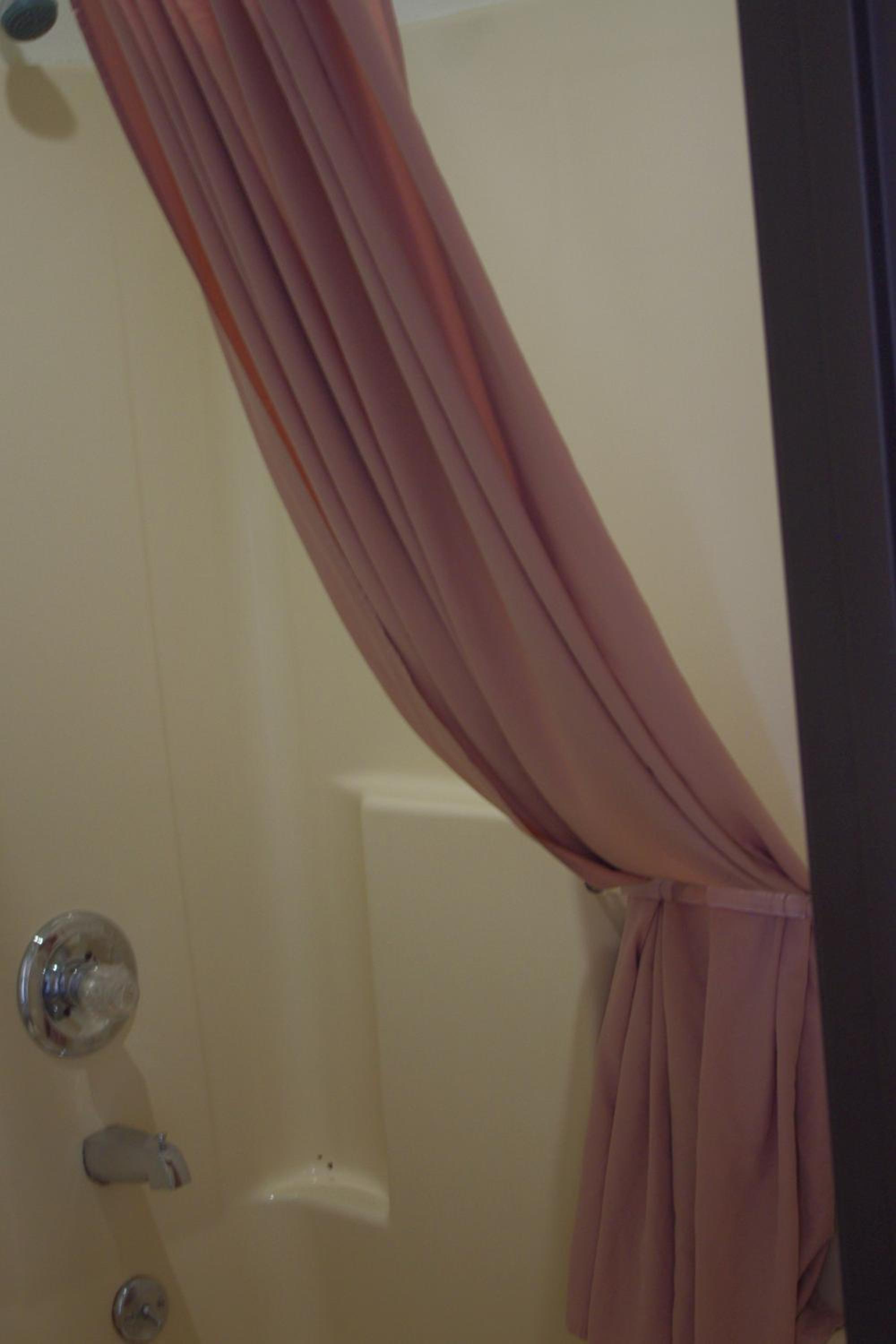Family Suite photo 3
