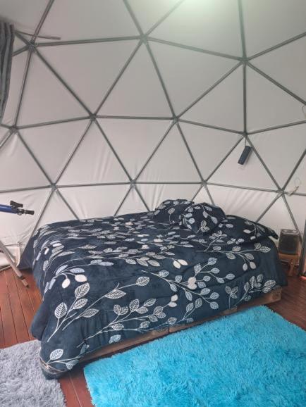 Tent photo 1
