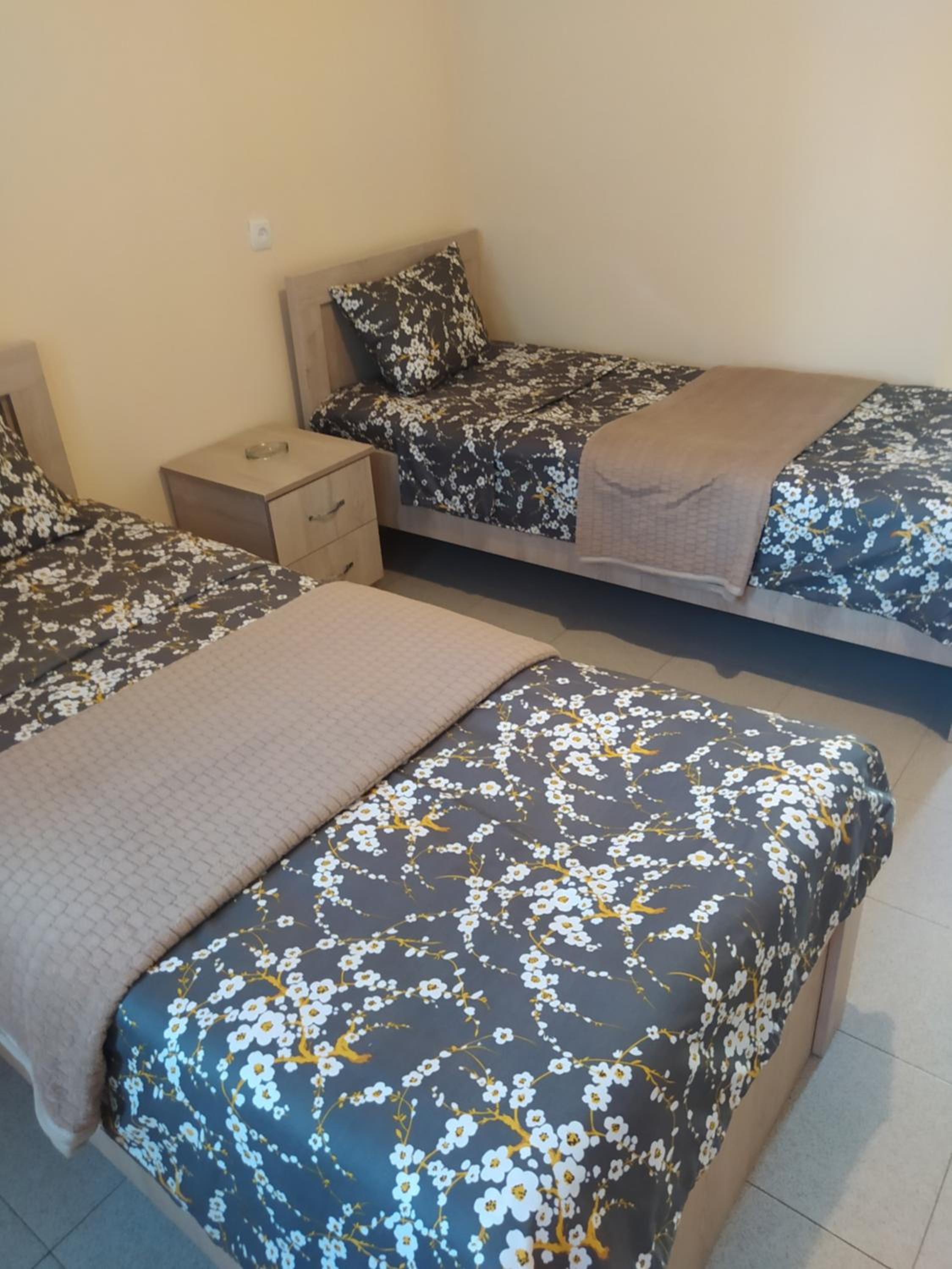 Twin Room photo 1