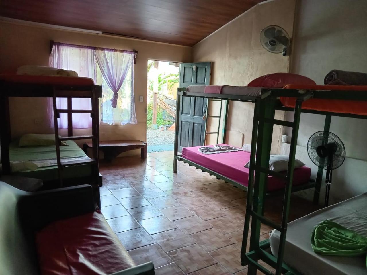6-Bed Mixed Dormitory Room photo 1