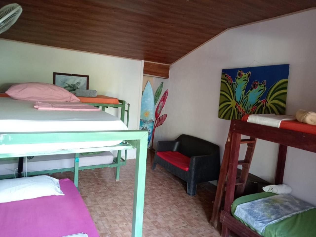 6-Bed Mixed Dormitory Room photo 2